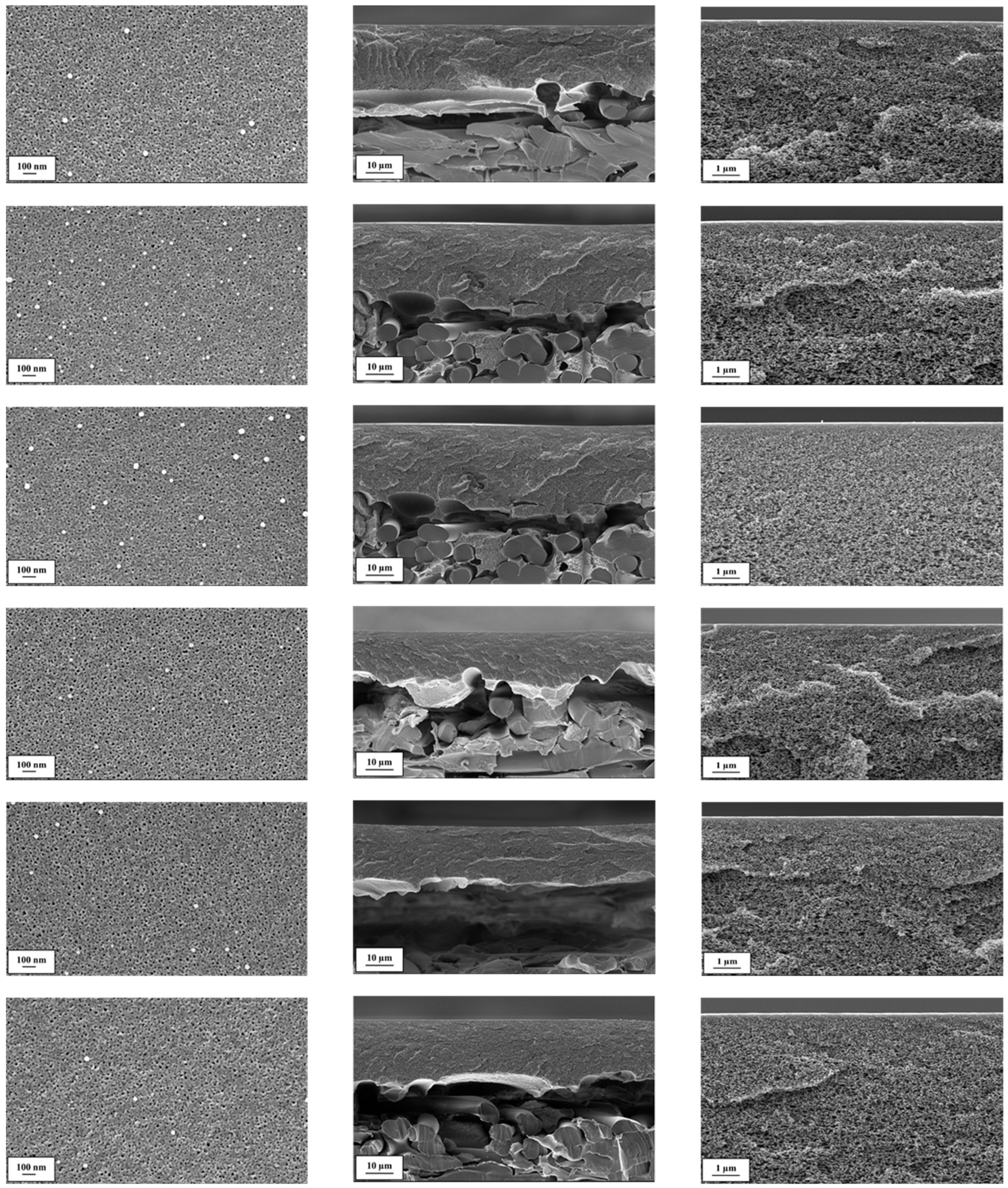 Membranes 09 00035 g001