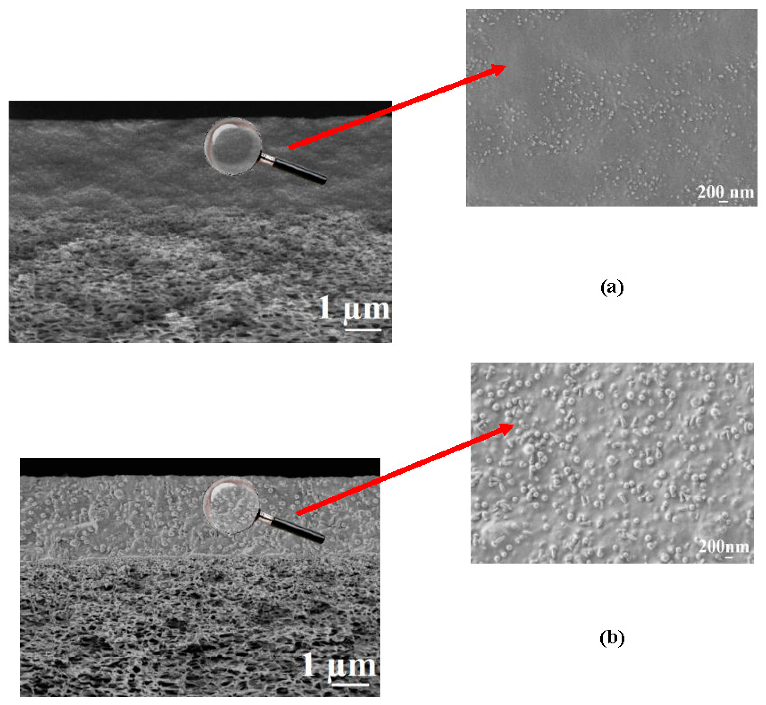 Membranes 09 00038 g004