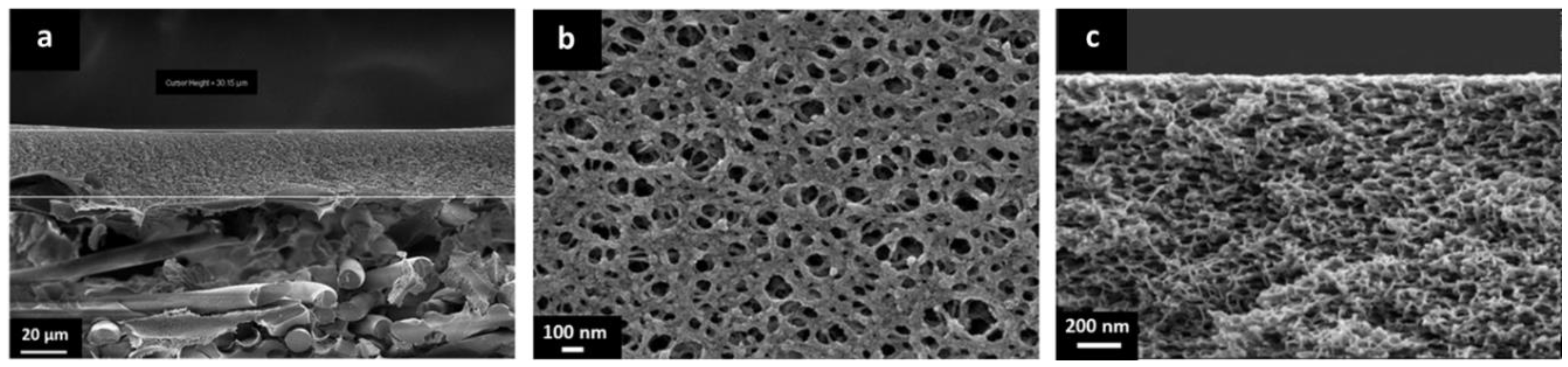 Membranes 09 00051 g004