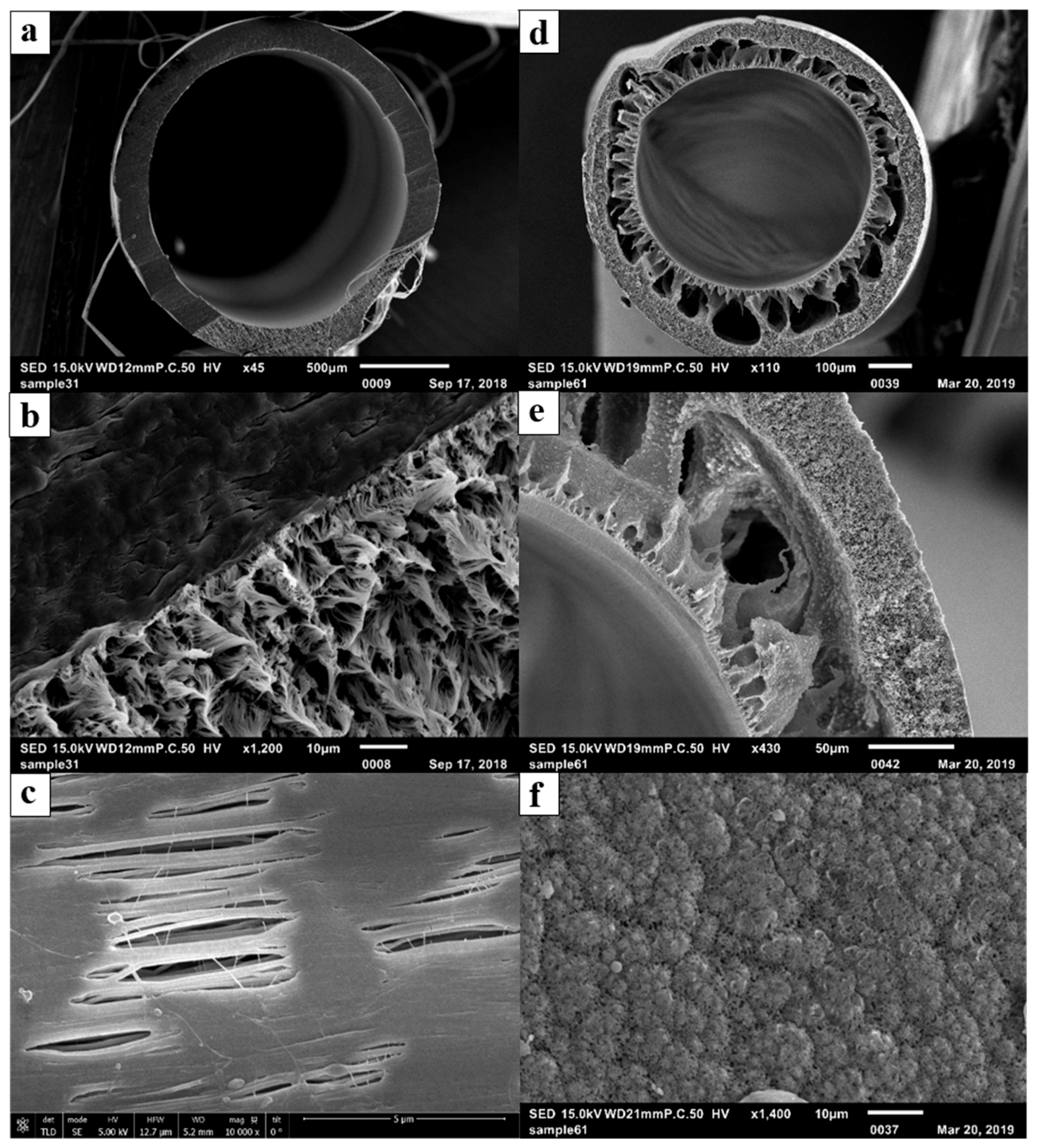 Membranes 09 00052 g003
