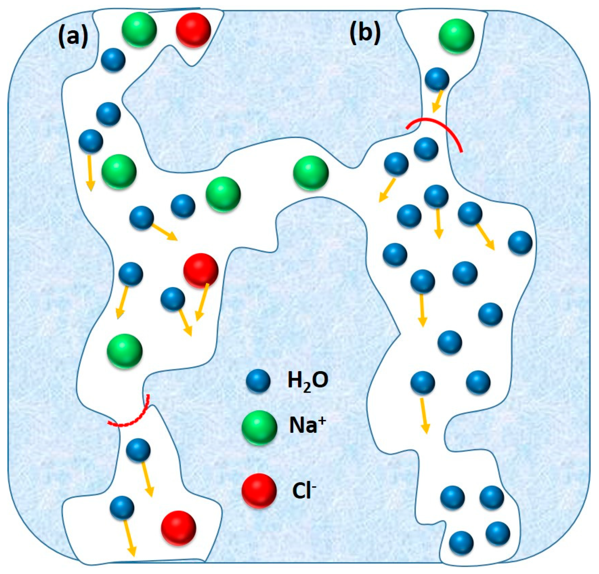 Membranes 09 00058 g024