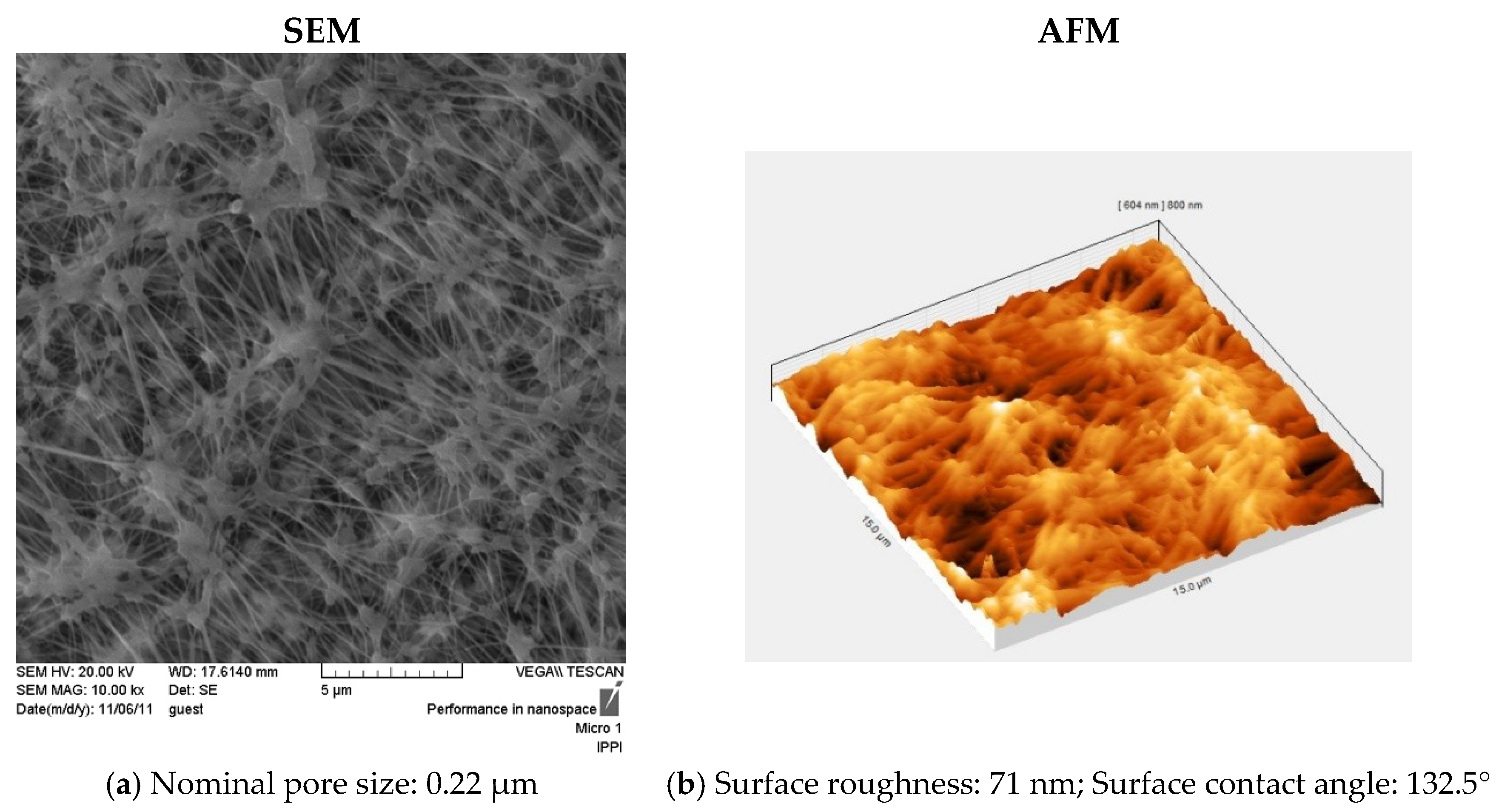 Membranes 09 00059 g002 550