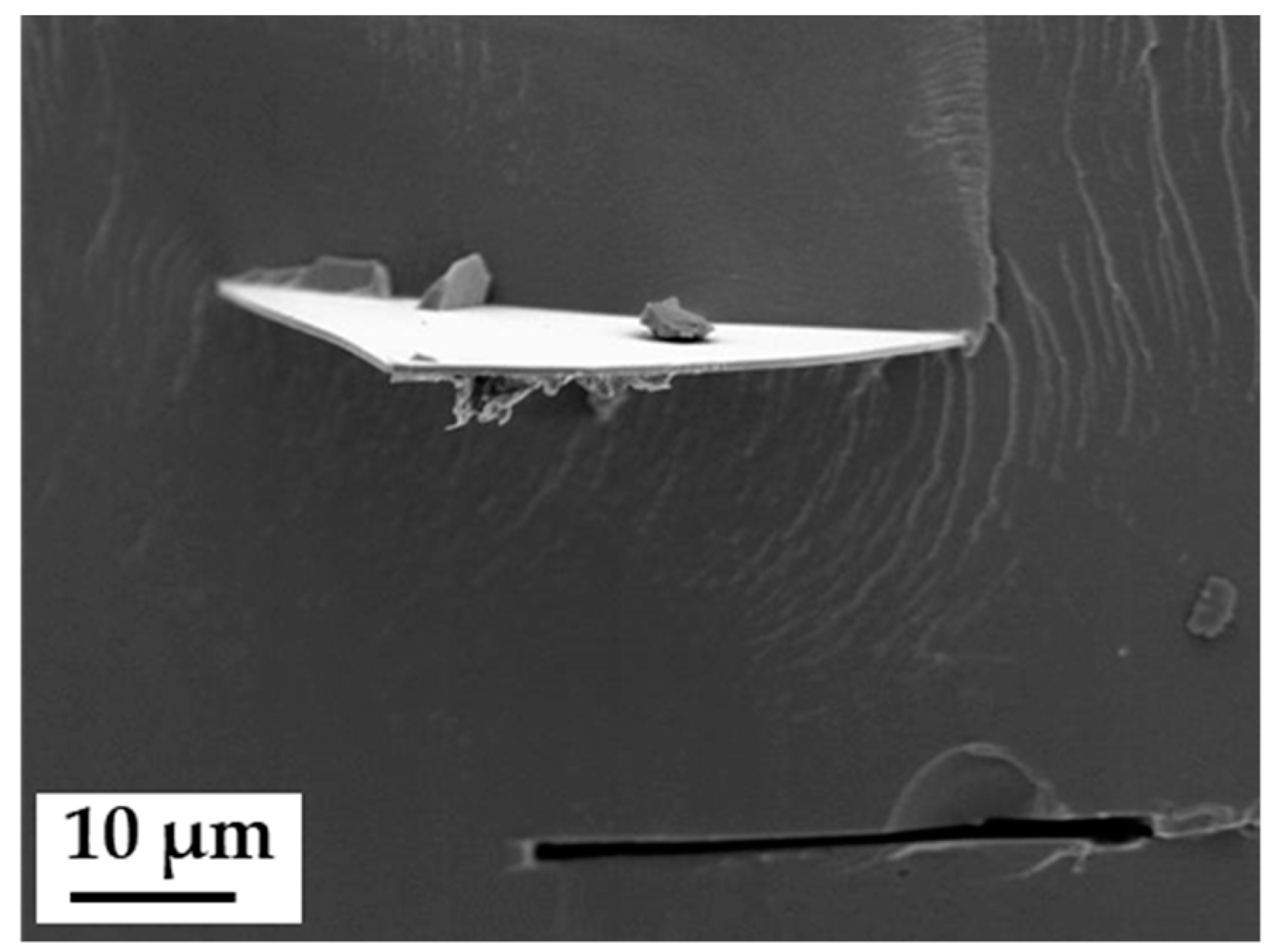 Membranes 09 00062 g001