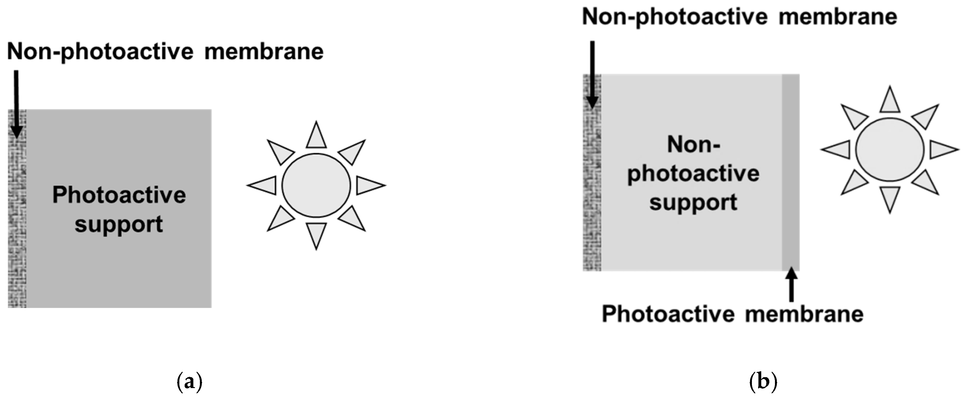 Membranes 09 00064 g001 Membranes 09 00064 g001
