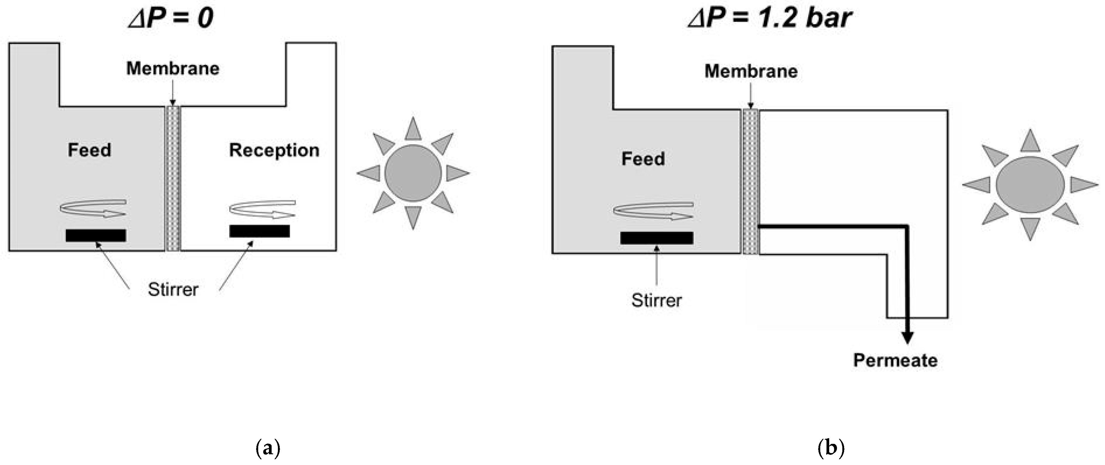 Membranes 09 00064 g003 Membranes 09 00064 g003