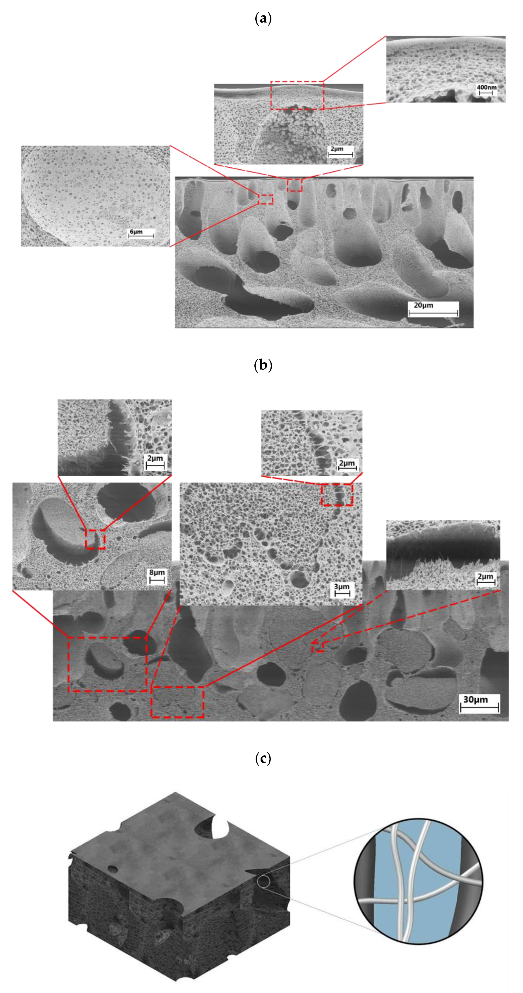 Membranes 09 00070 g002 Membranes 09 00070 g002