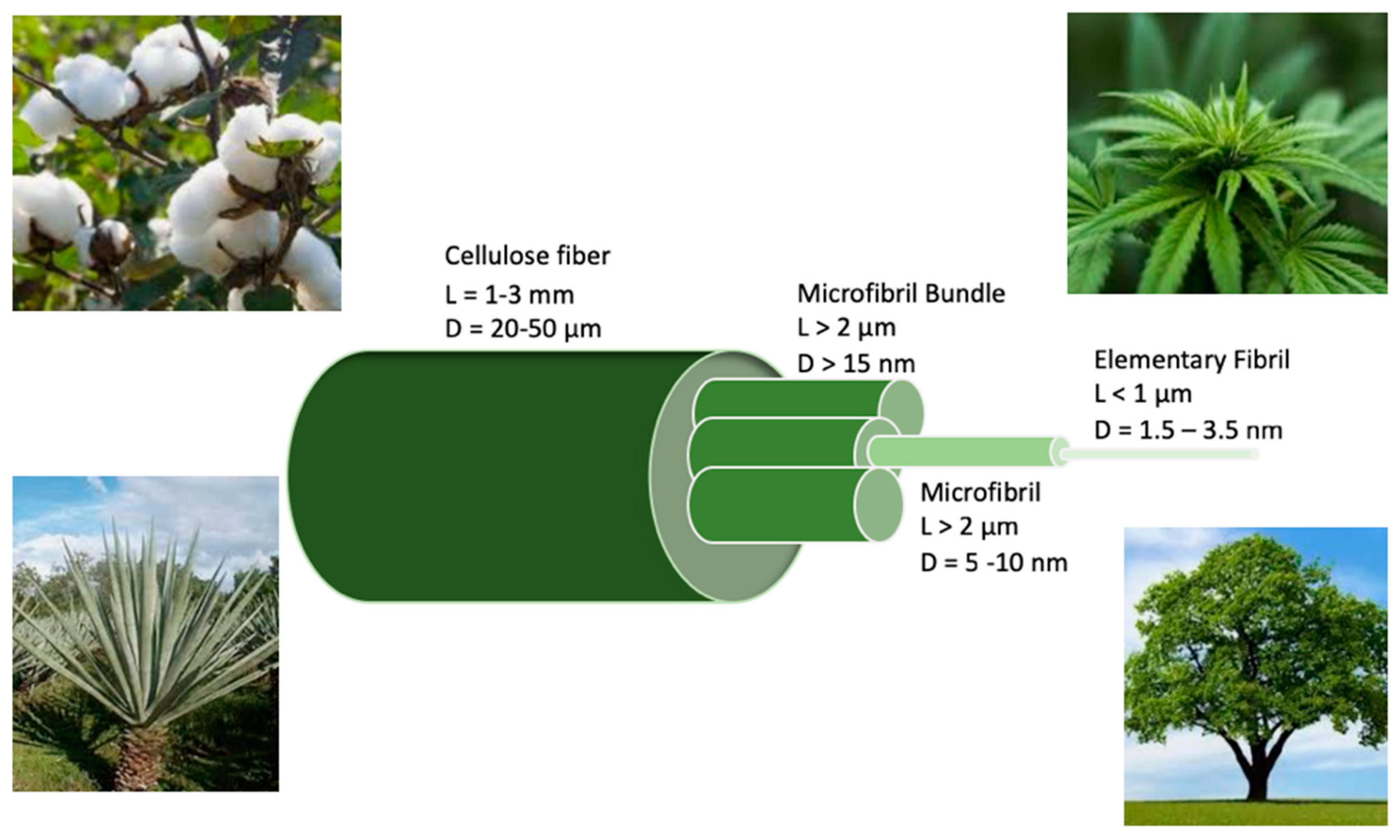 Membranes 09 00074 g002 Membranes 09 00074 g002