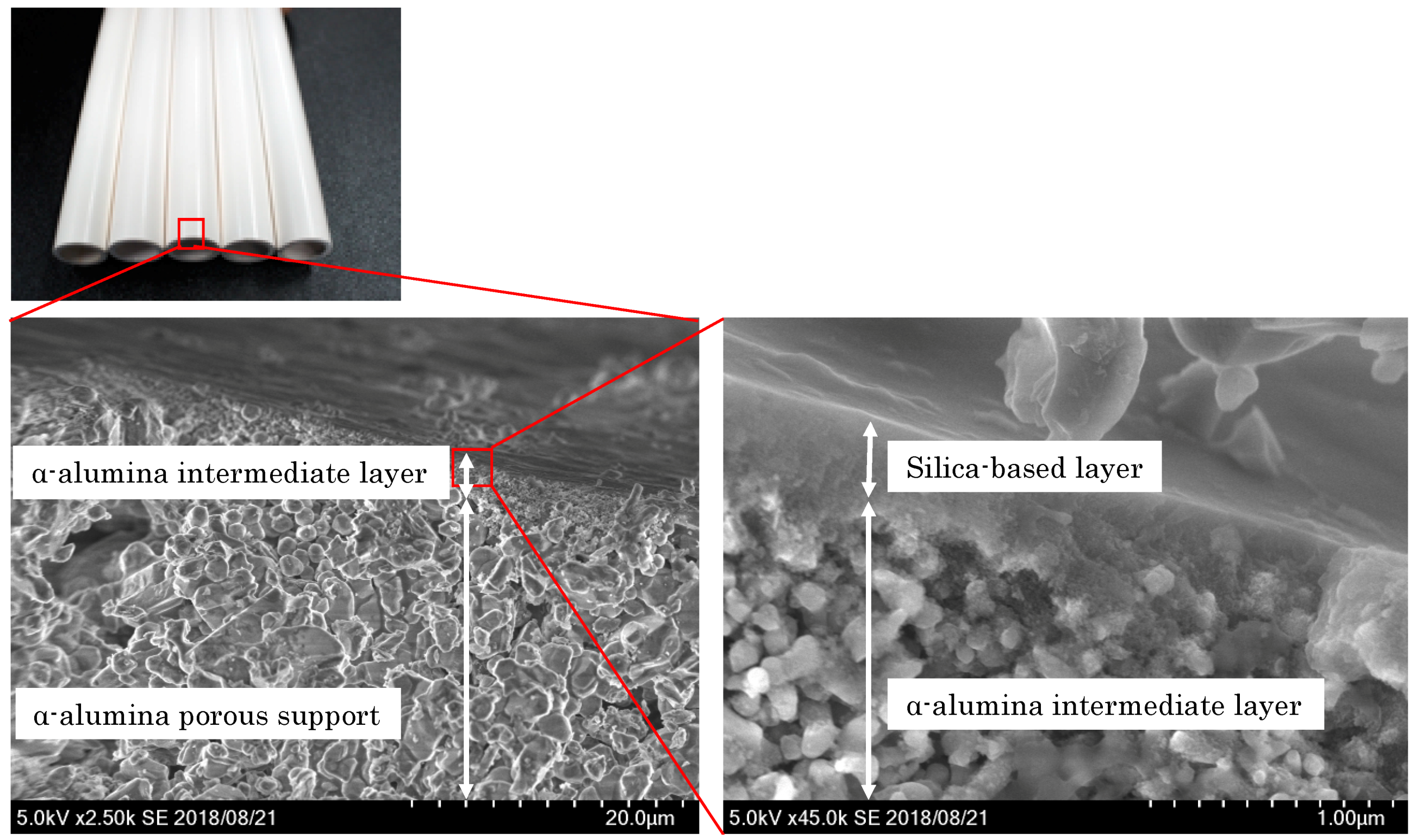 Membranes 09 00103 g004