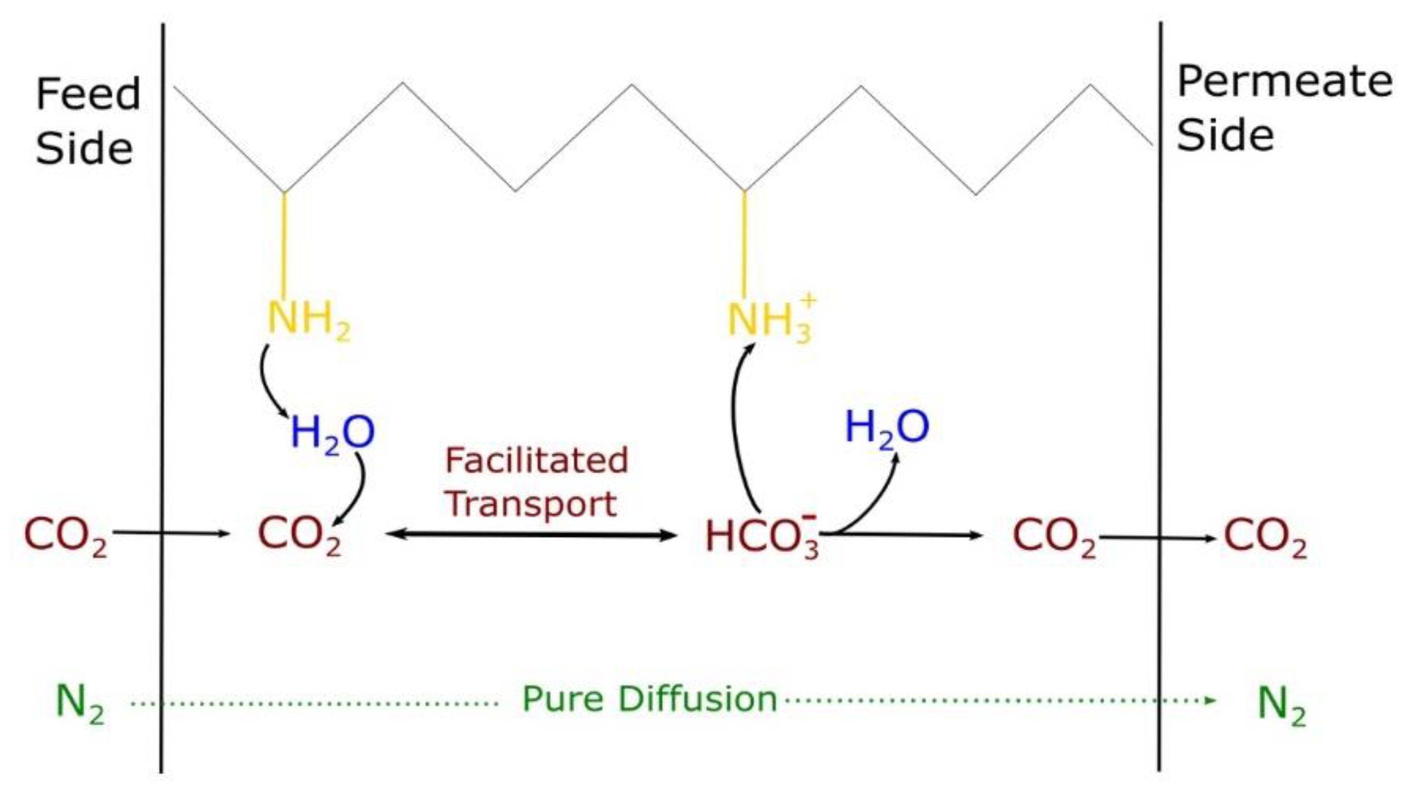 Membranes 09 00119 g001 Membranes 09 00119 g001