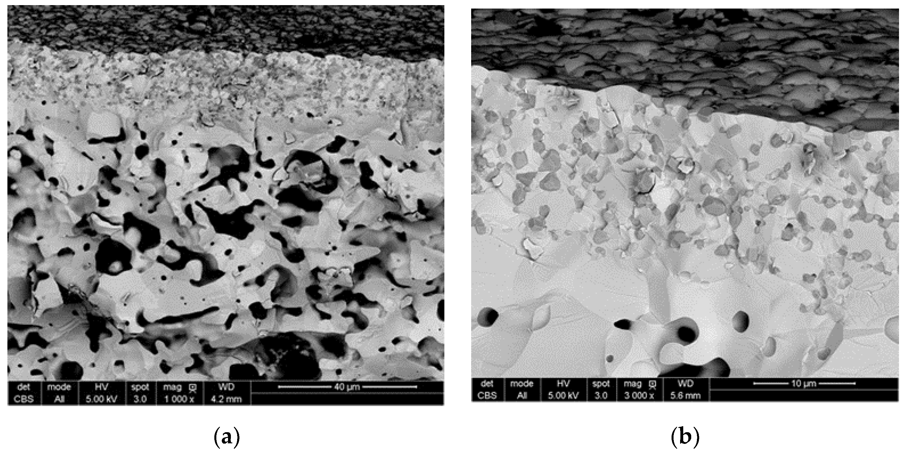 Membranes 09 00126 g001
