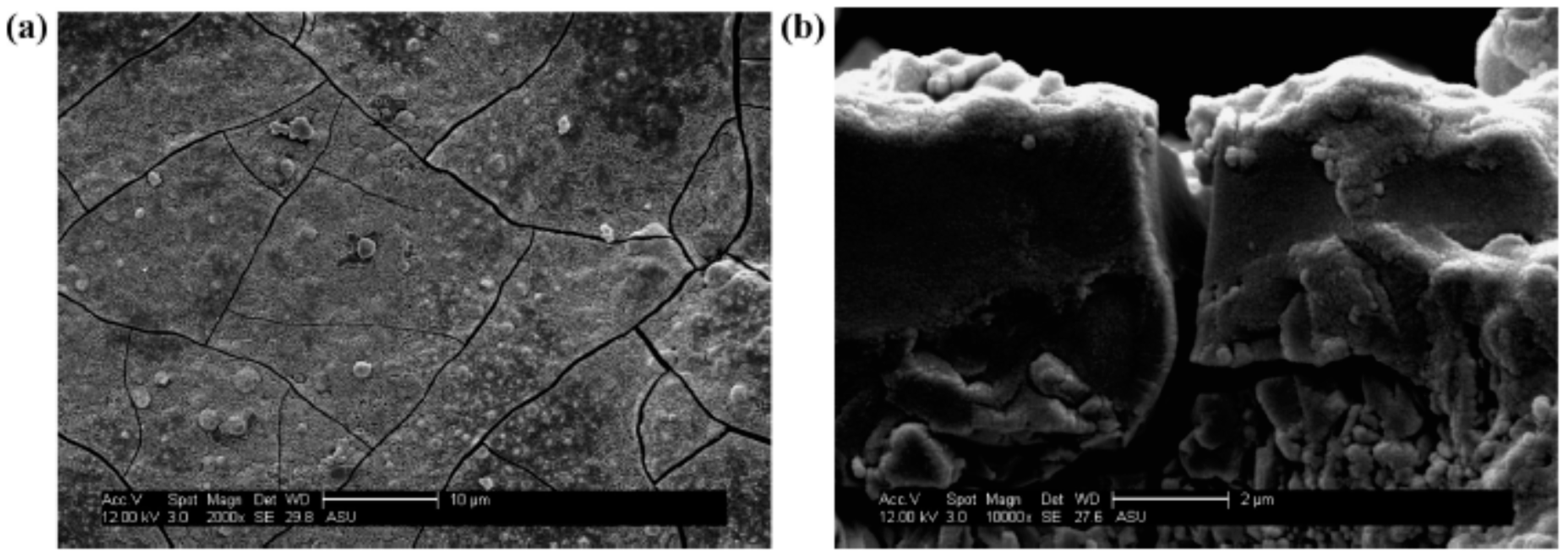 Membranes 09 00128 g009
