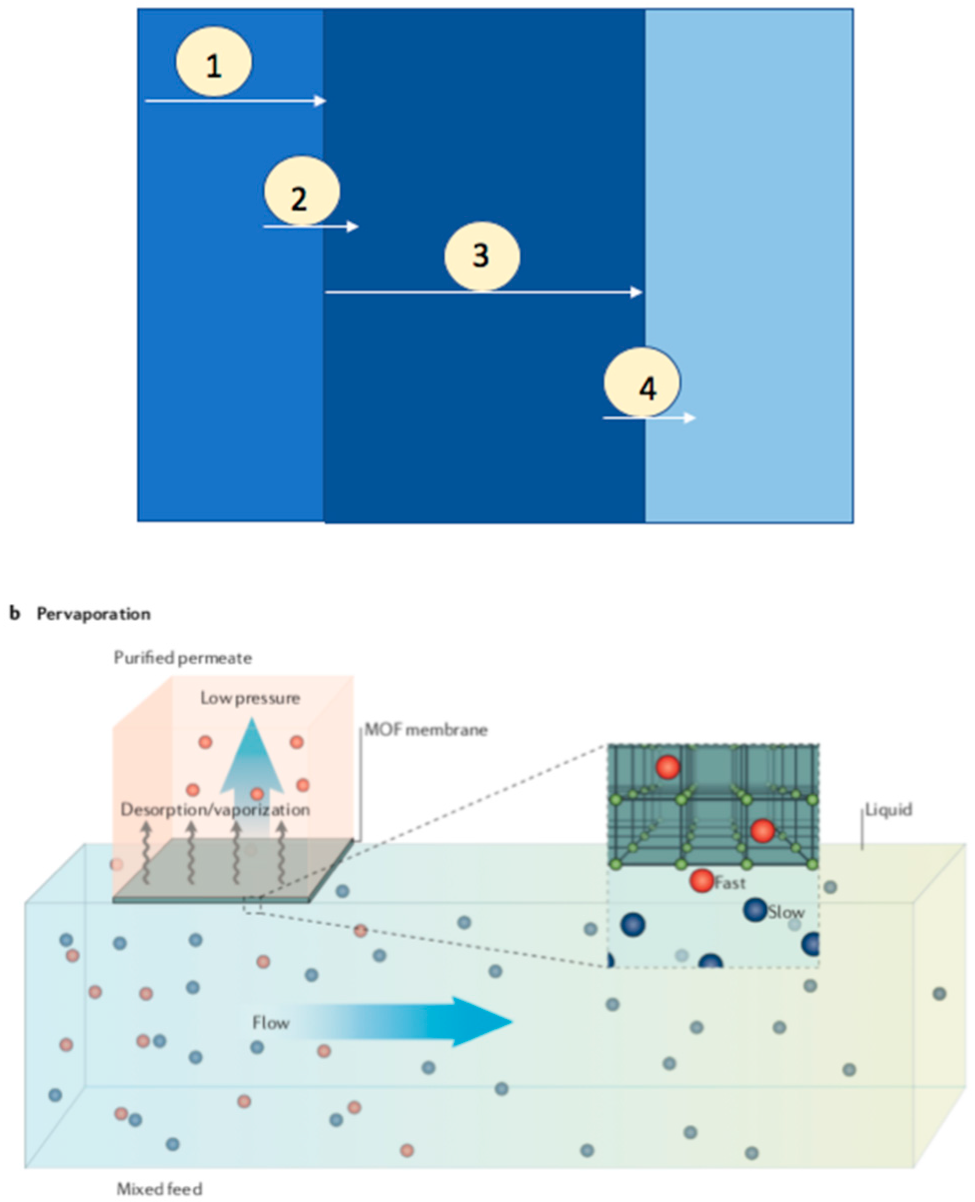 Membranes 09 00128 g010