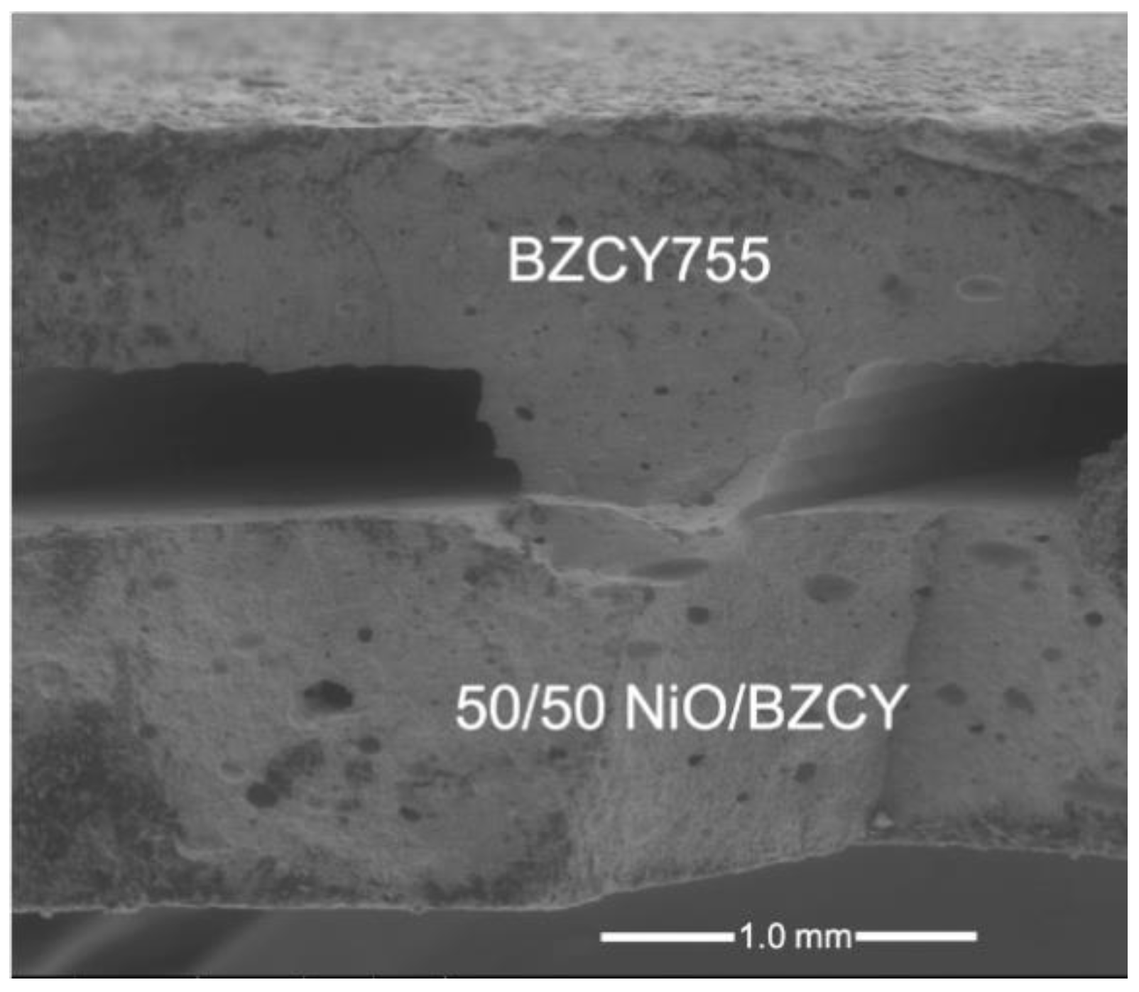 Membranes 09 00130 g009