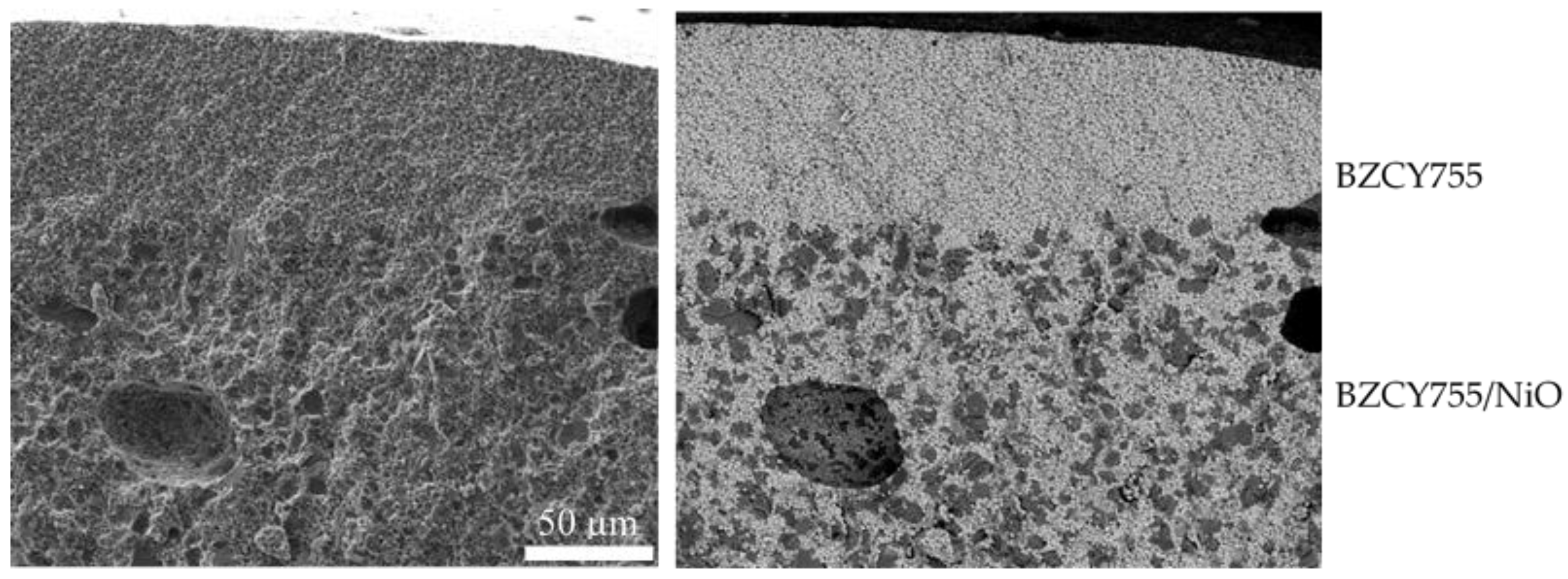 Membranes 09 00130 g010