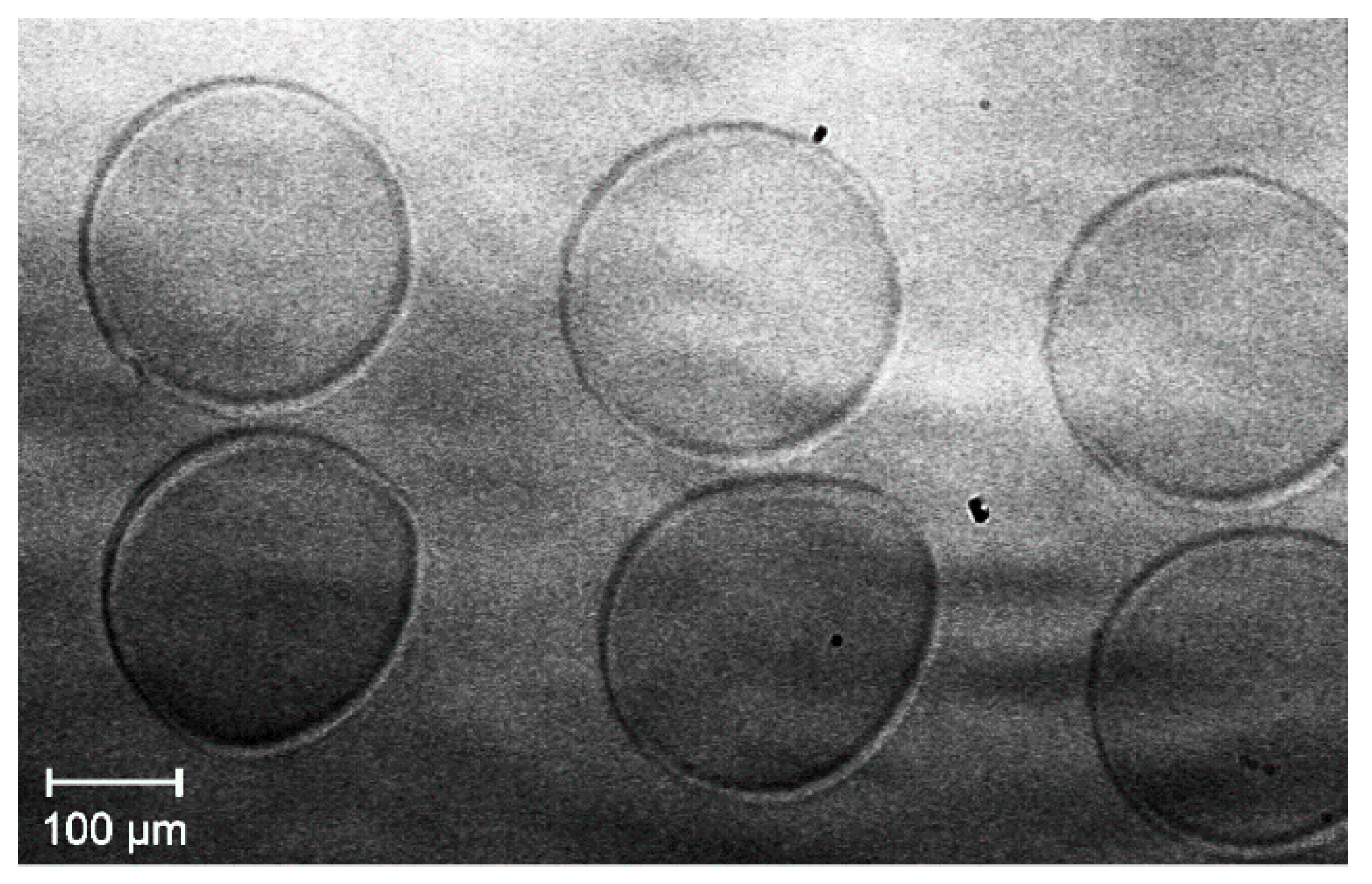 Membranes 09 00131 g009 Membranes 09 00131 g009