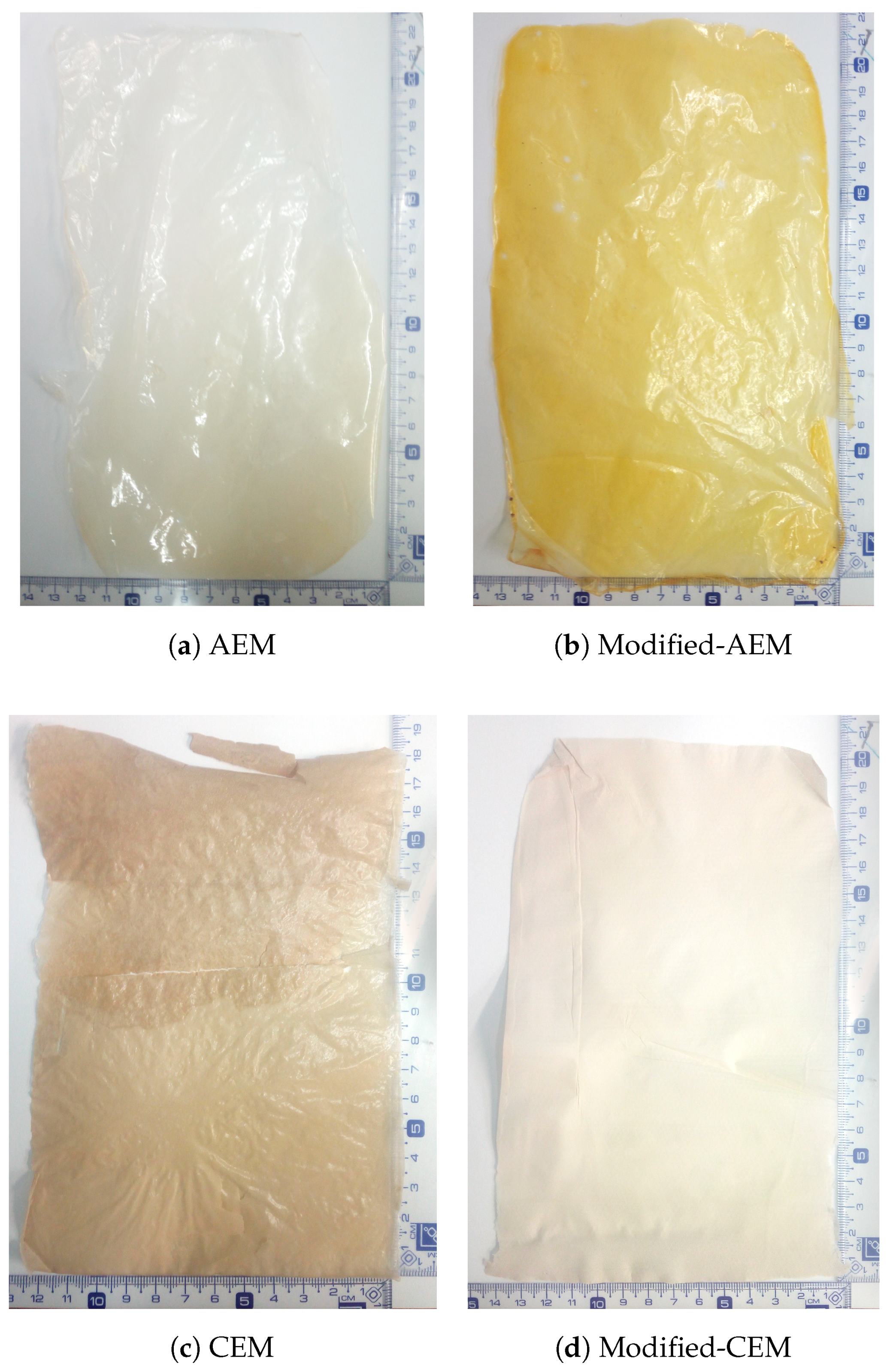 Membranes 09 00145 g001