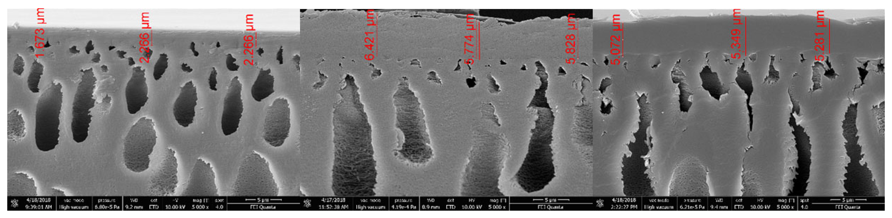 Membranes 09 00147 g009