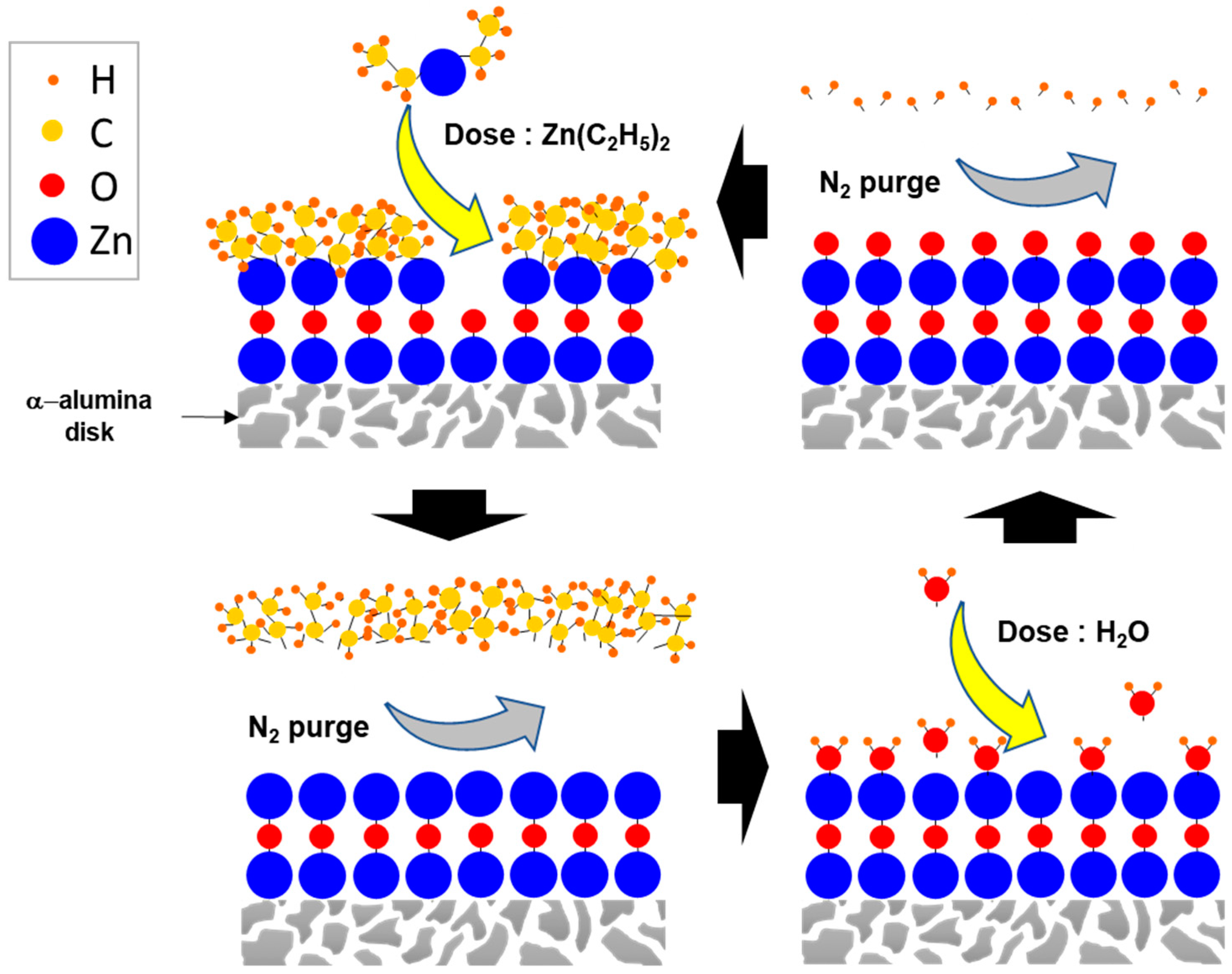 Membranes 09 00156 g001