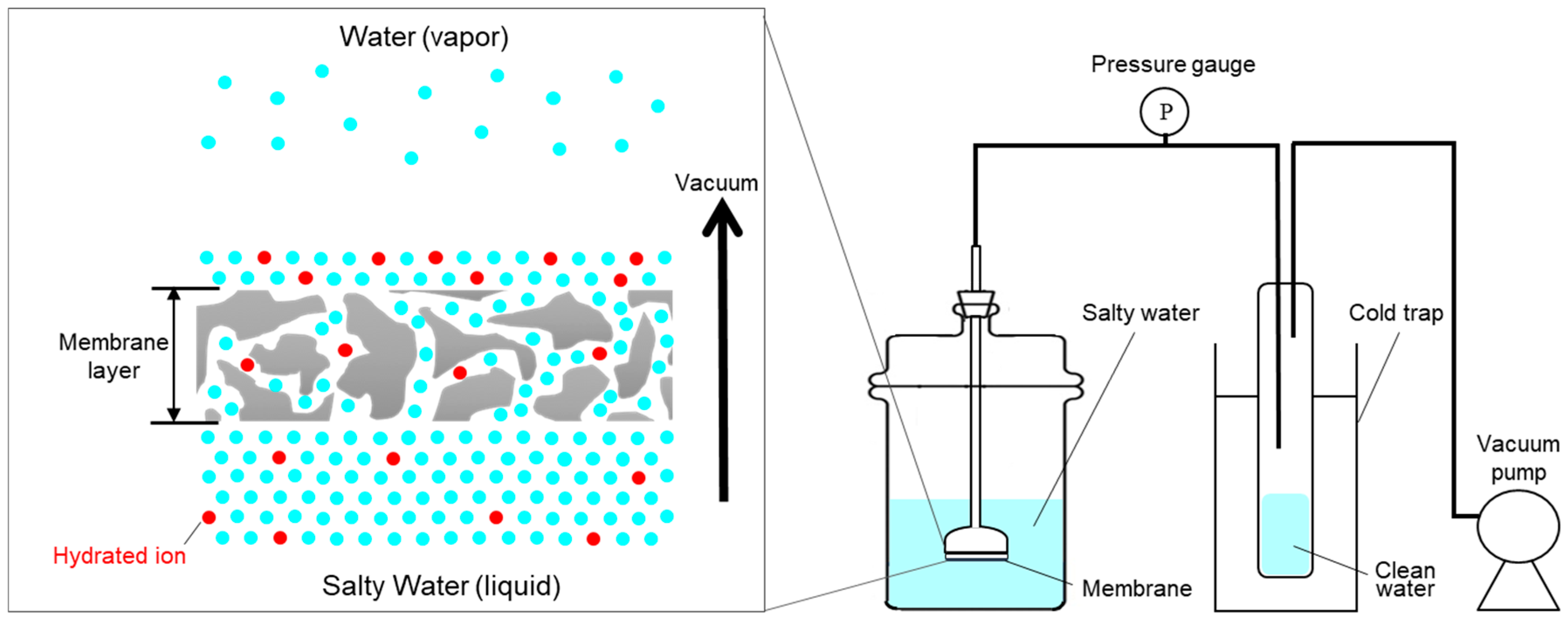 Membranes 09 00156 g002