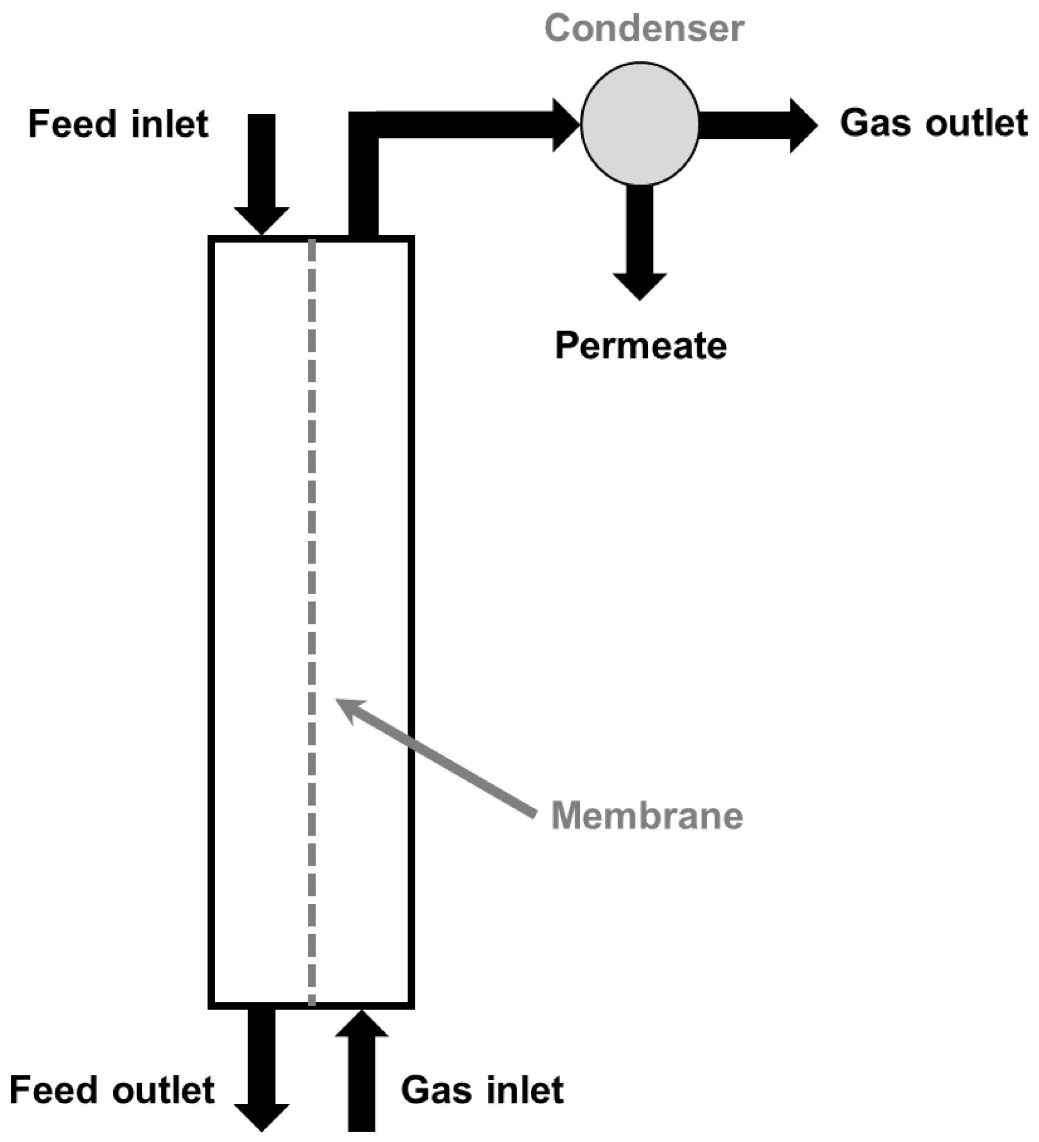Sweep membranes westbirthday