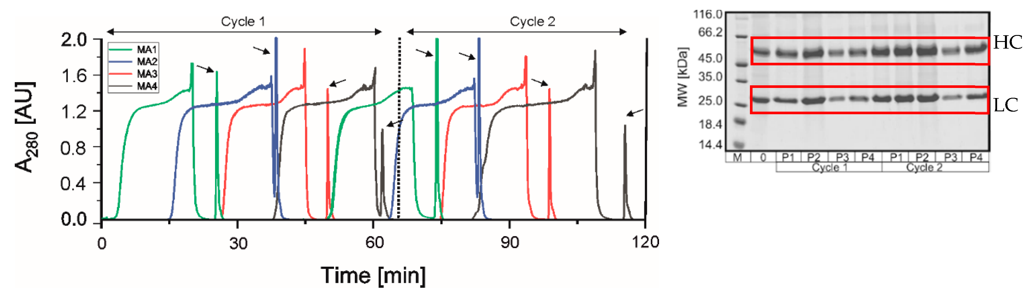 Membranes 09 00159 g005 Membranes 09 00159 g005