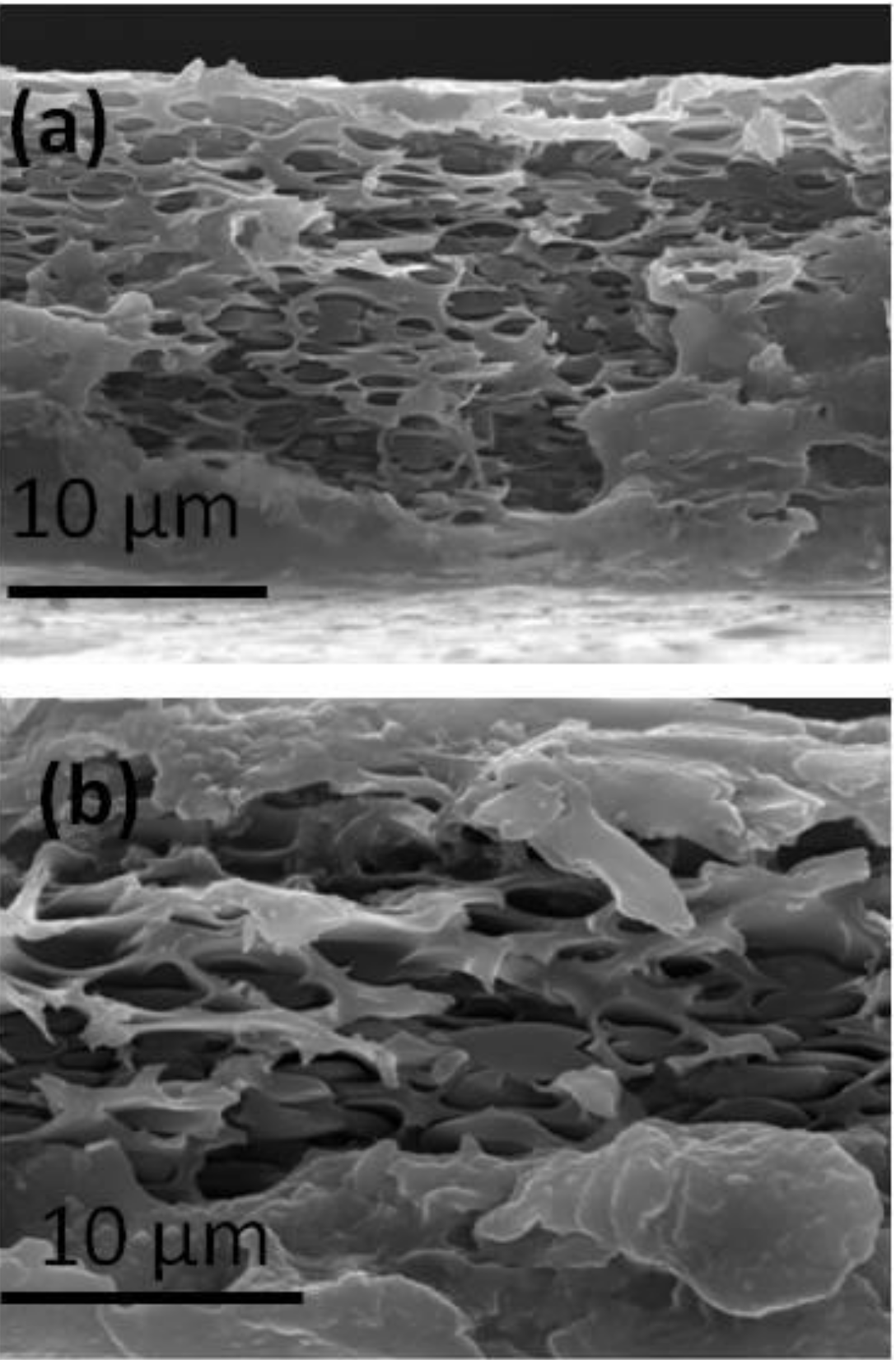 Membranes 09 00164 g006
