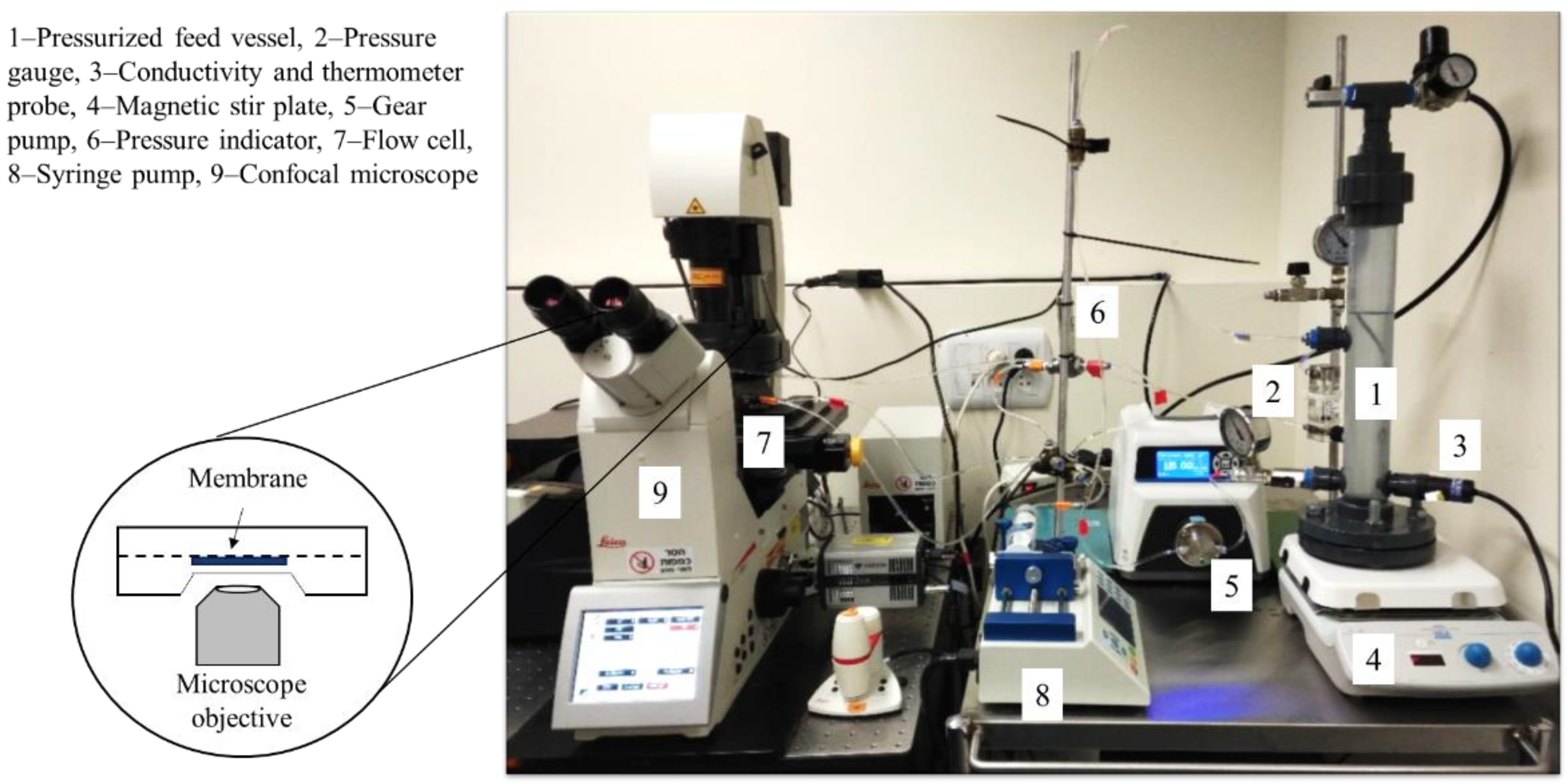 Membranes 09 00168 g002