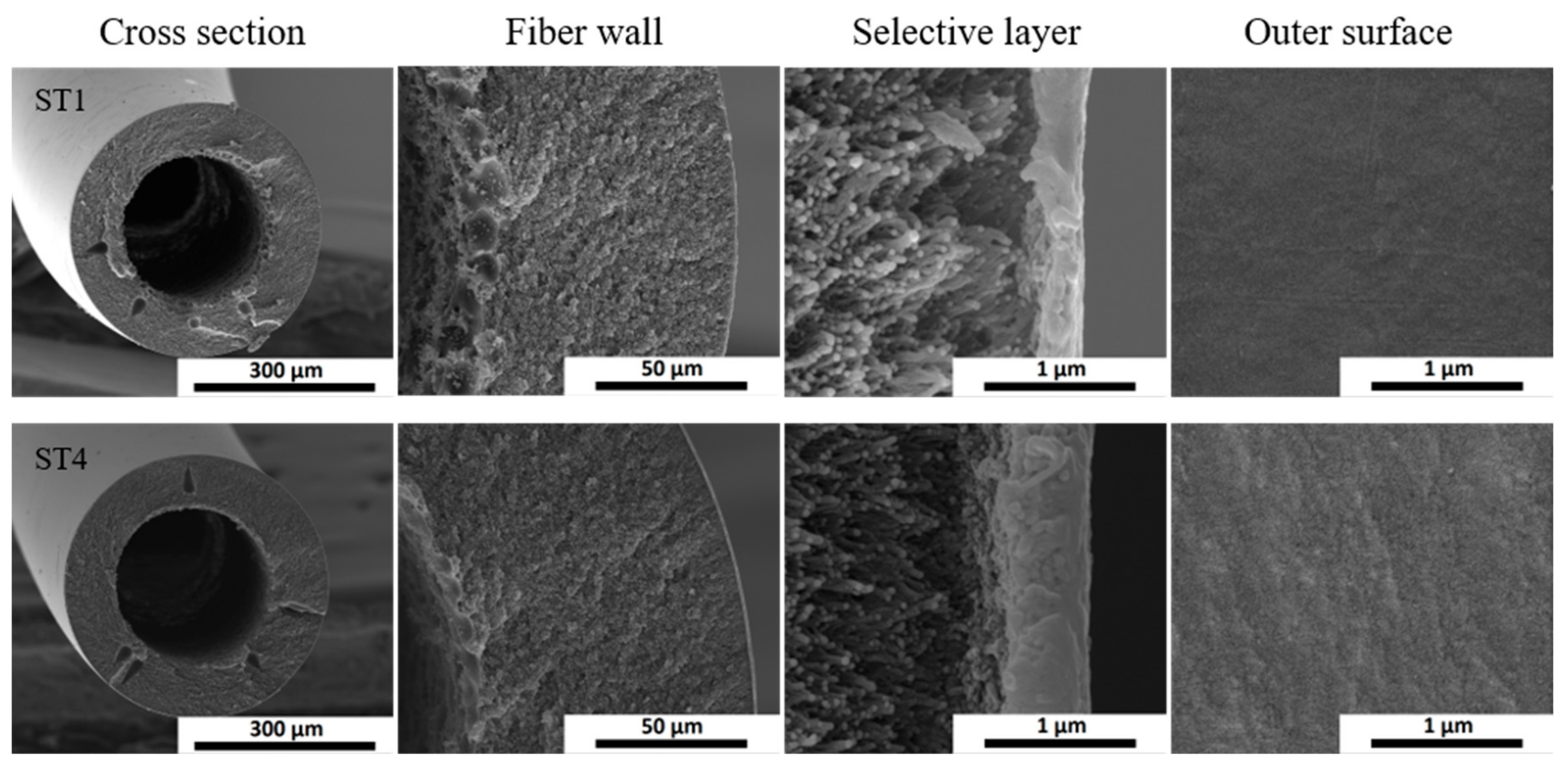 Membranes 10 00004 g007