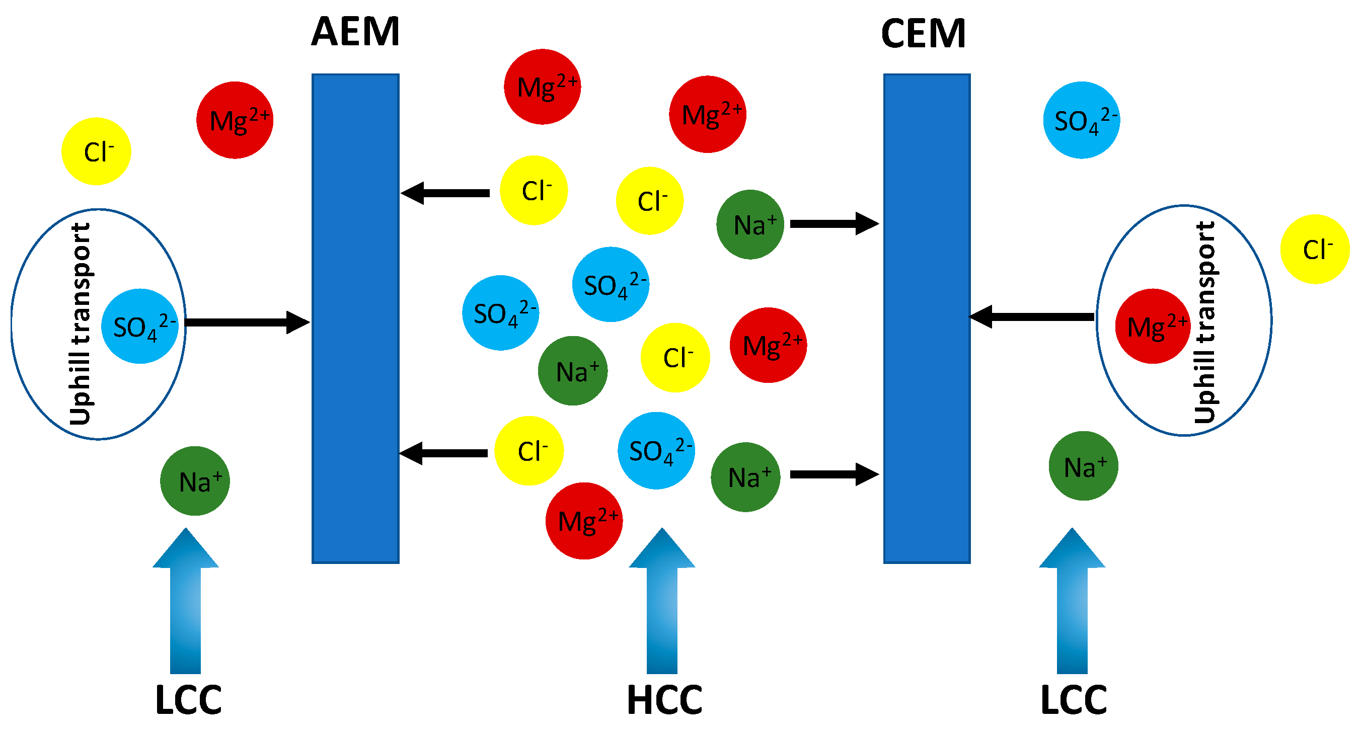 Membranes 10 00007 g003