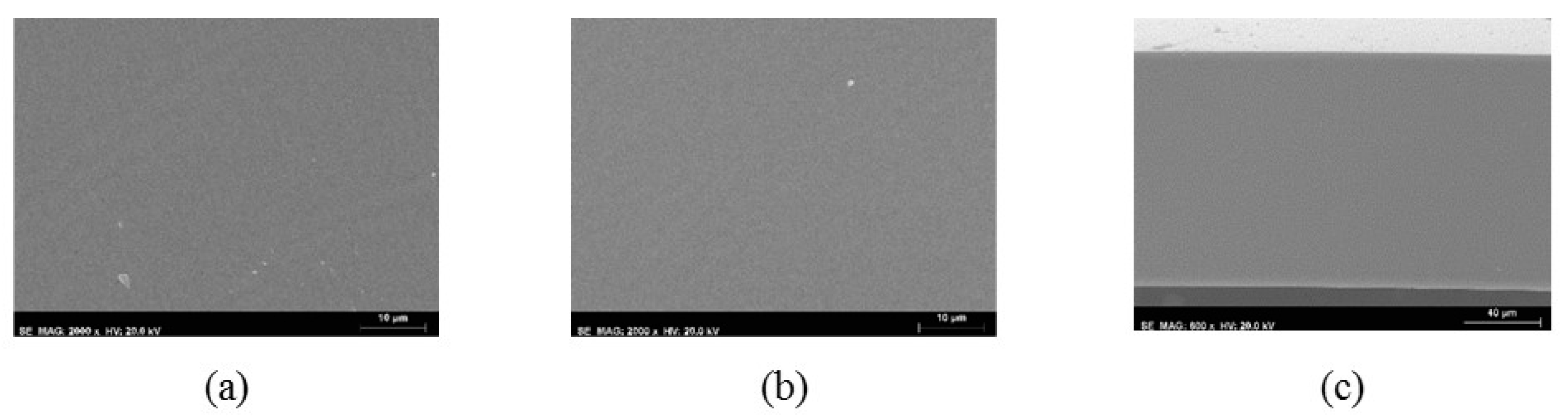 Membranes 10 00008 g003