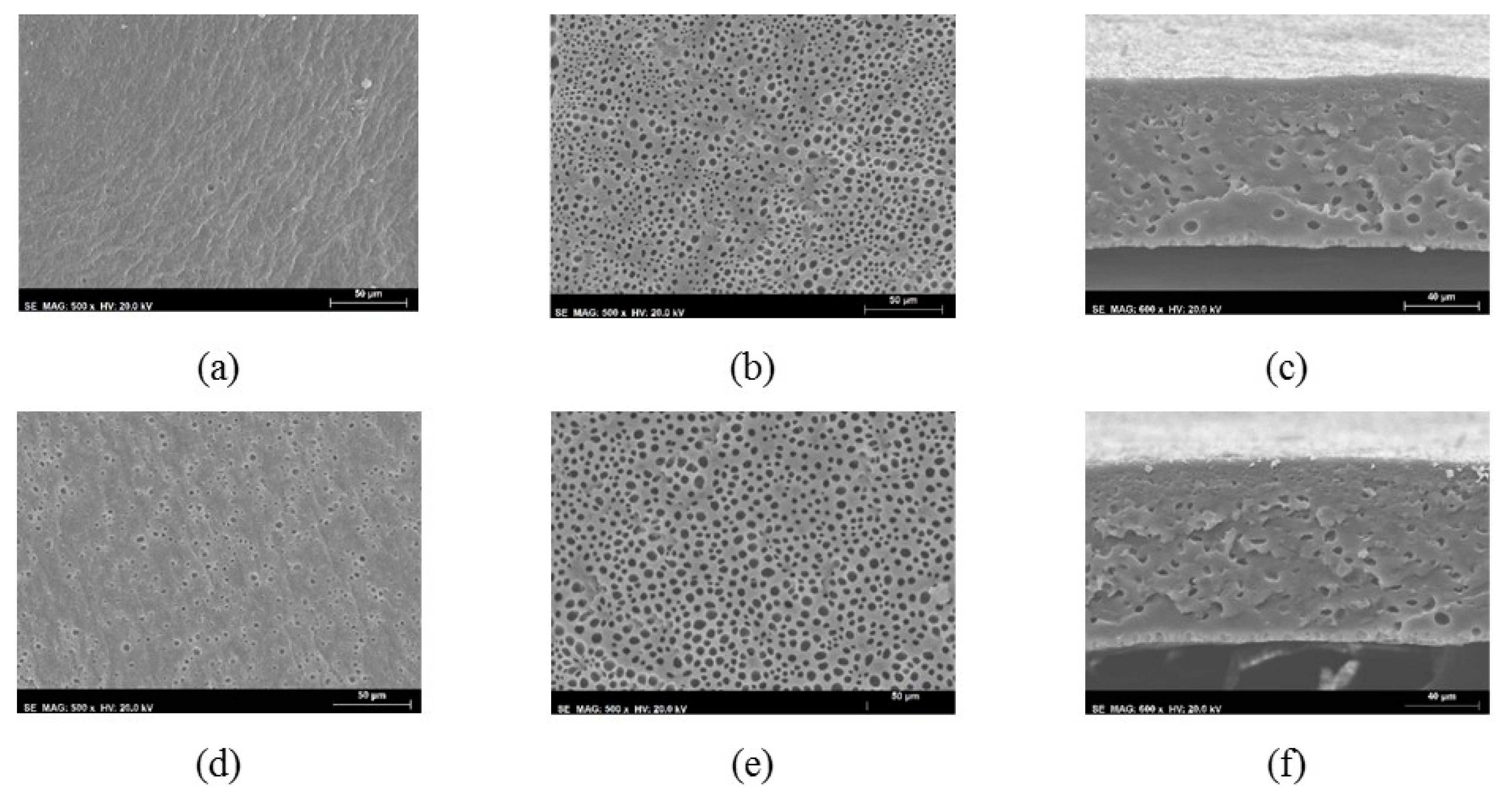 Membranes 10 00008 g004