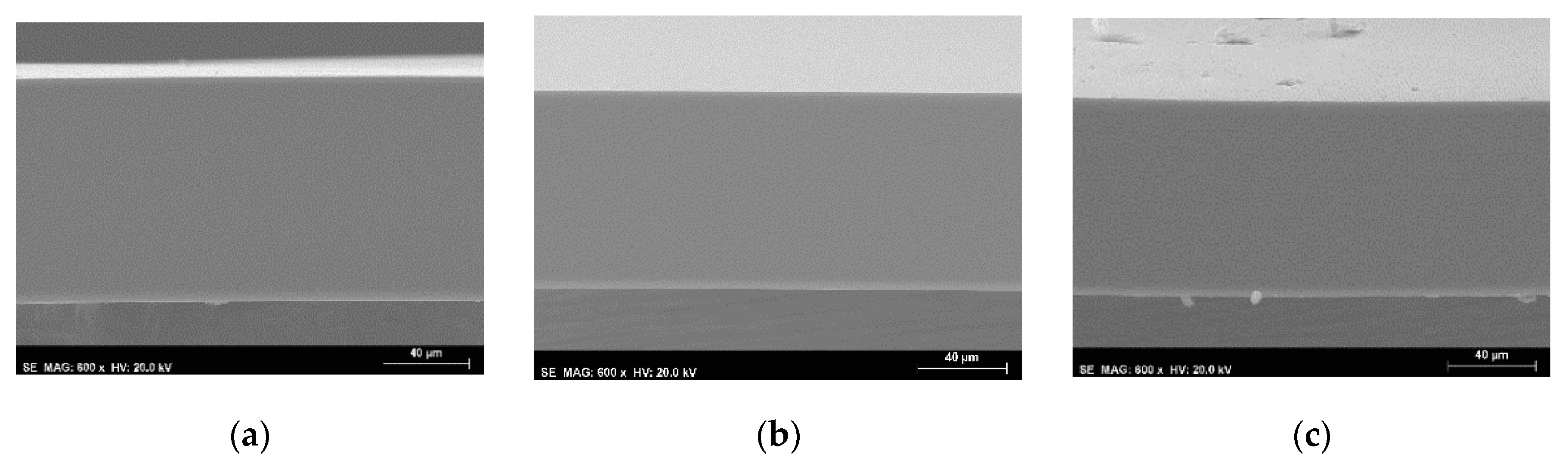 Membranes 10 00008 g0a1