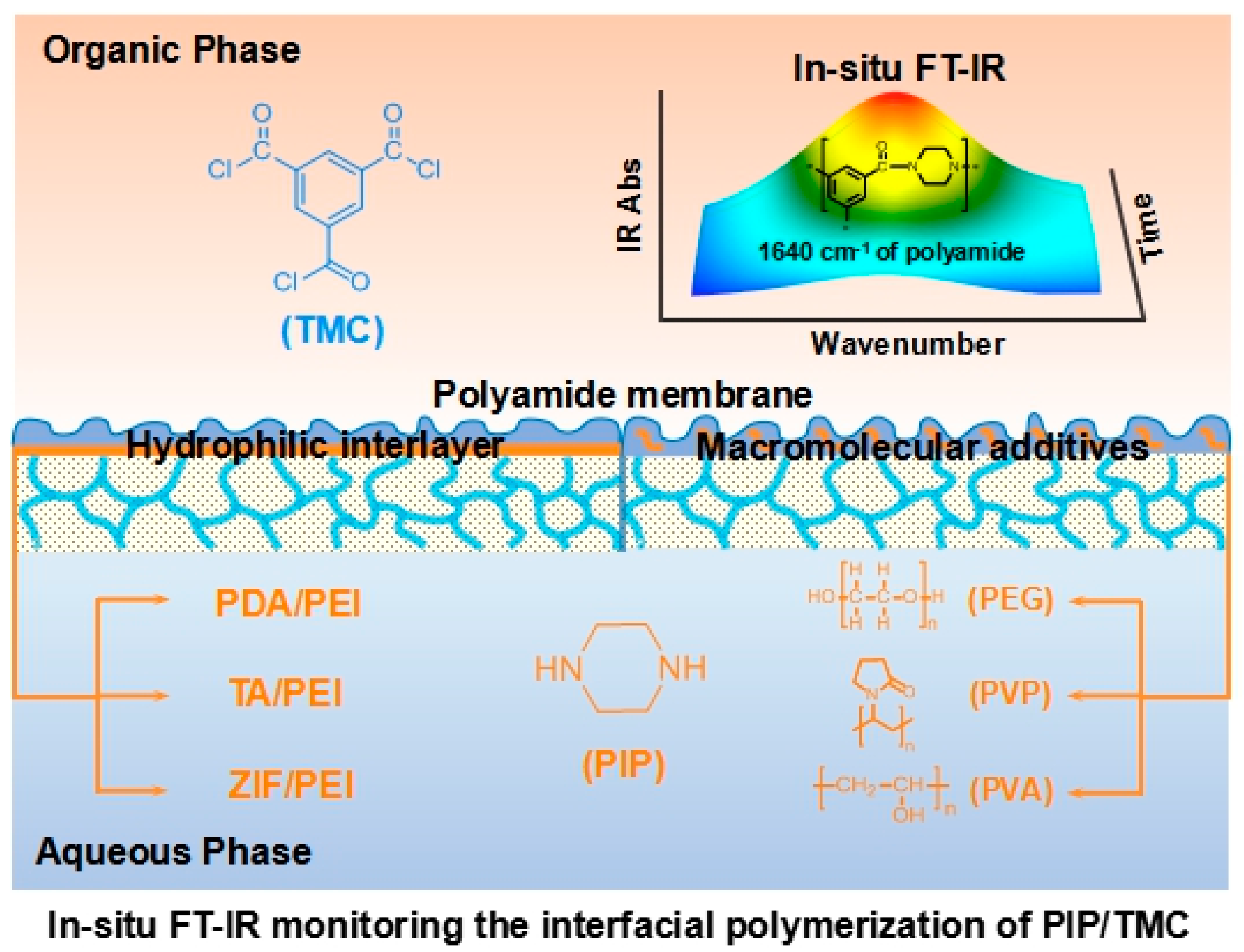 Membranes 10 00012 g001