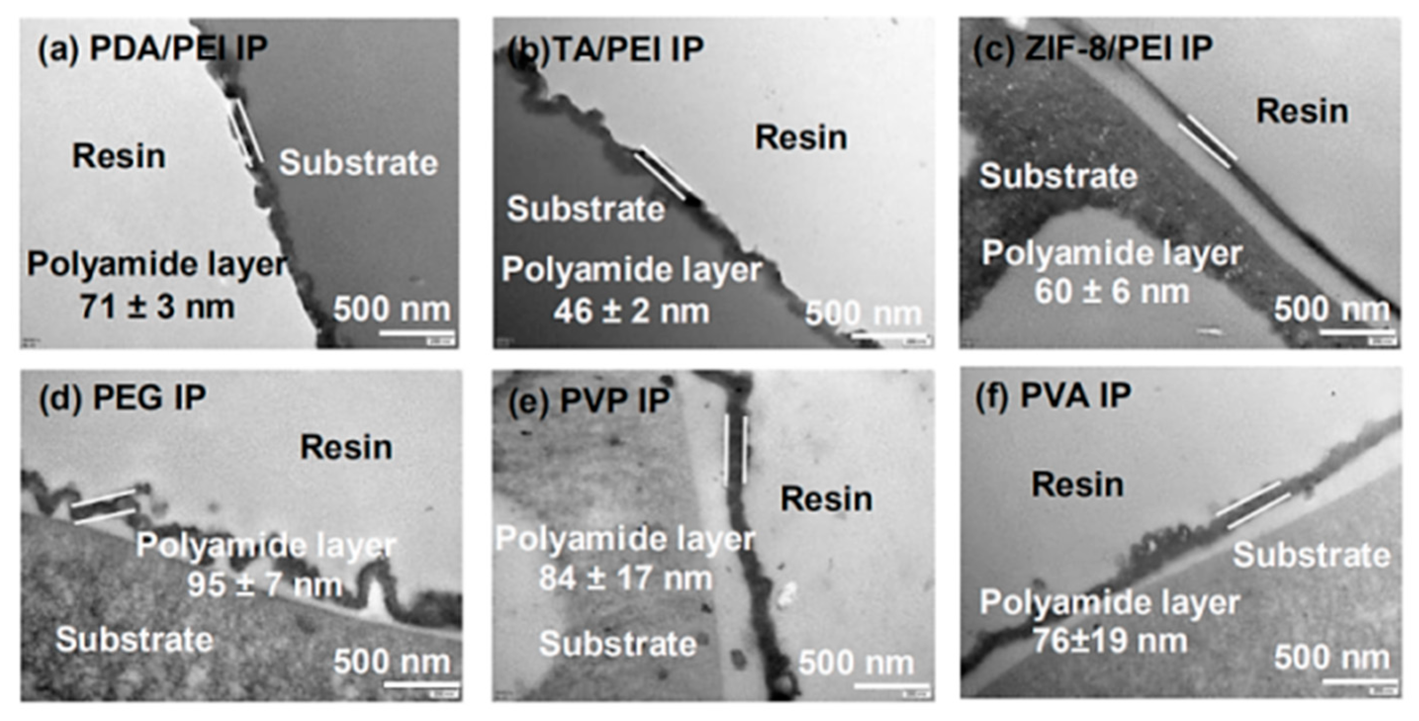 Membranes 10 00012 g004