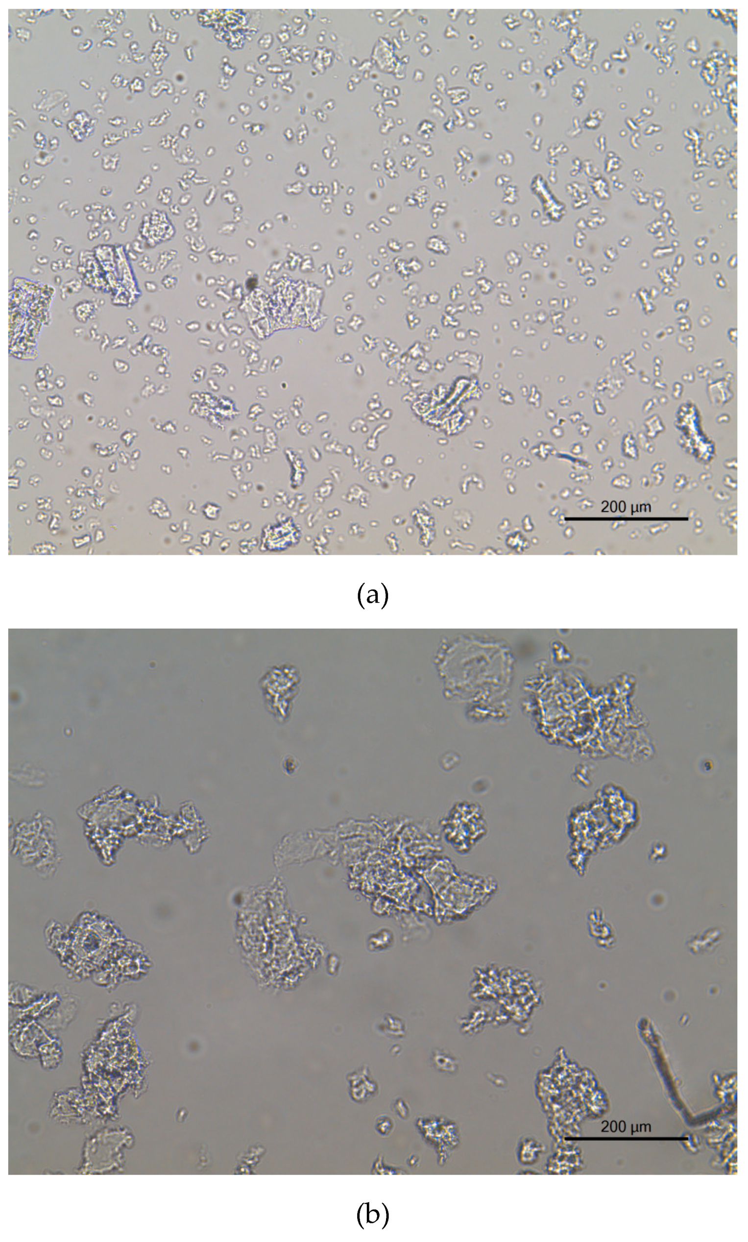 Membranes 10 00013 g005a