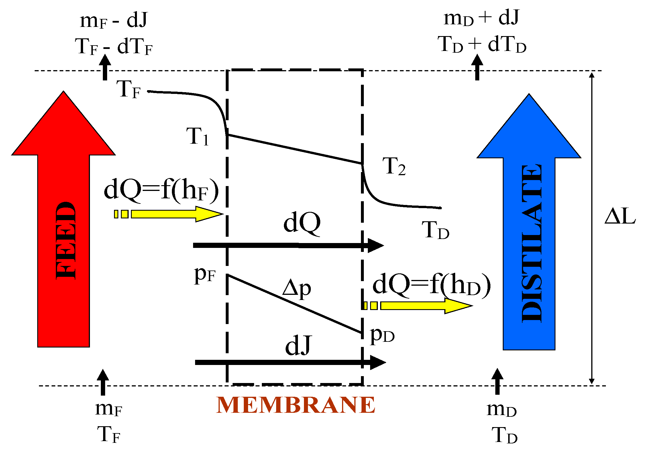 Membranes 10 00025 g001