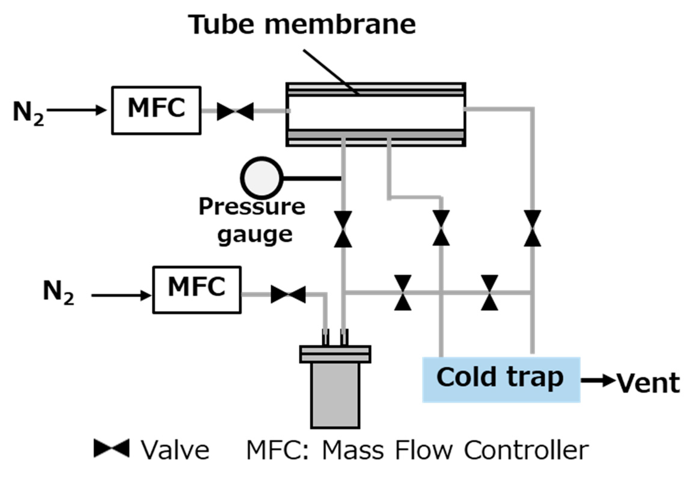 Membranes 10 00026 g001