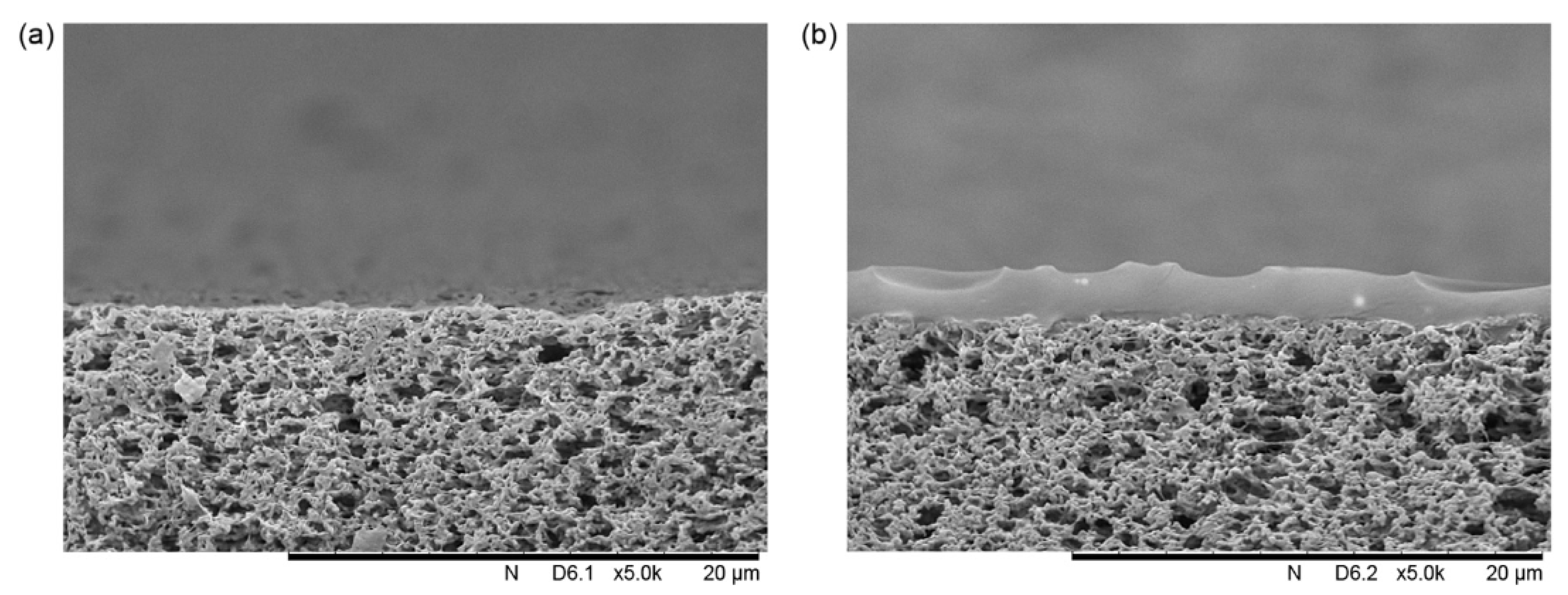 Membranes 10 00033 g003 Membranes 10 00033 g003