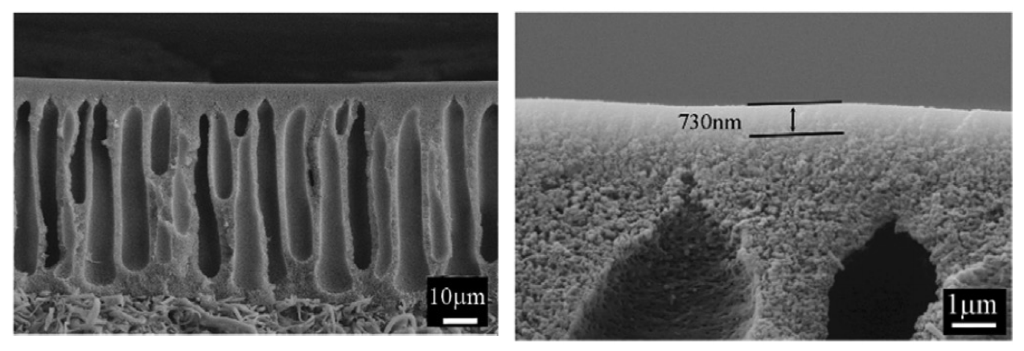 Membranes 10 00033 g004 Membranes 10 00033 g004