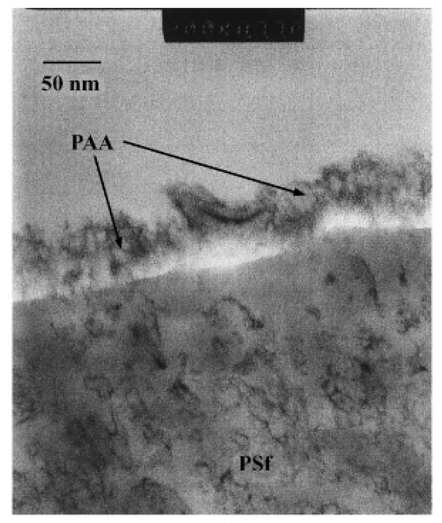 Membranes 10 00033 g008 Membranes 10 00033 g008