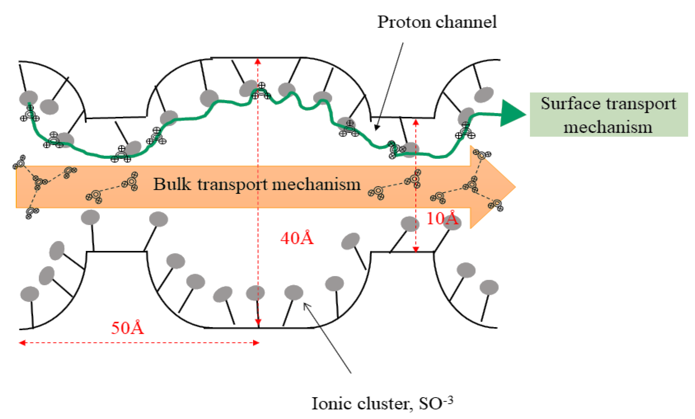 Membranes 10 00034 g011 Membranes 10 00034 g011