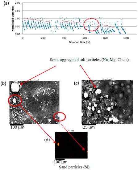 SEM-EDX analysis of PTFE-blended PPS  s surface after 
