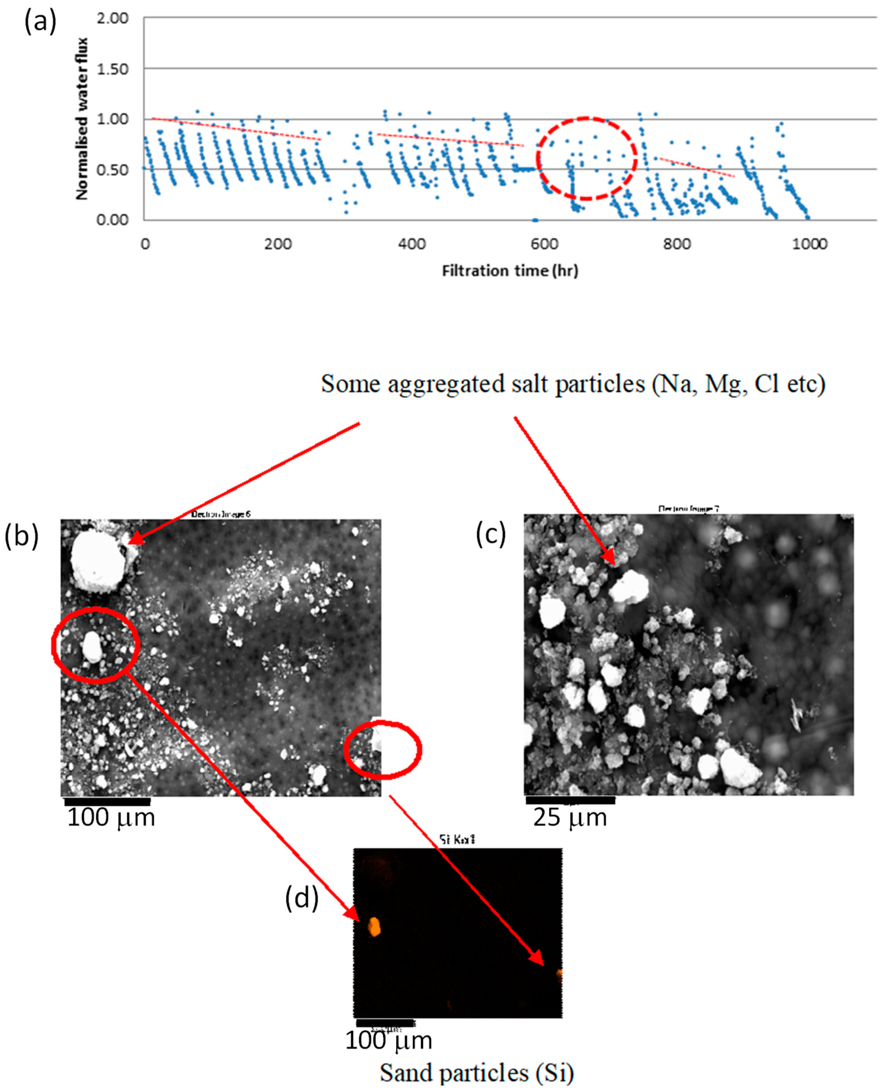 Membranes 10 00035 g010 Membranes 10 00035 g010