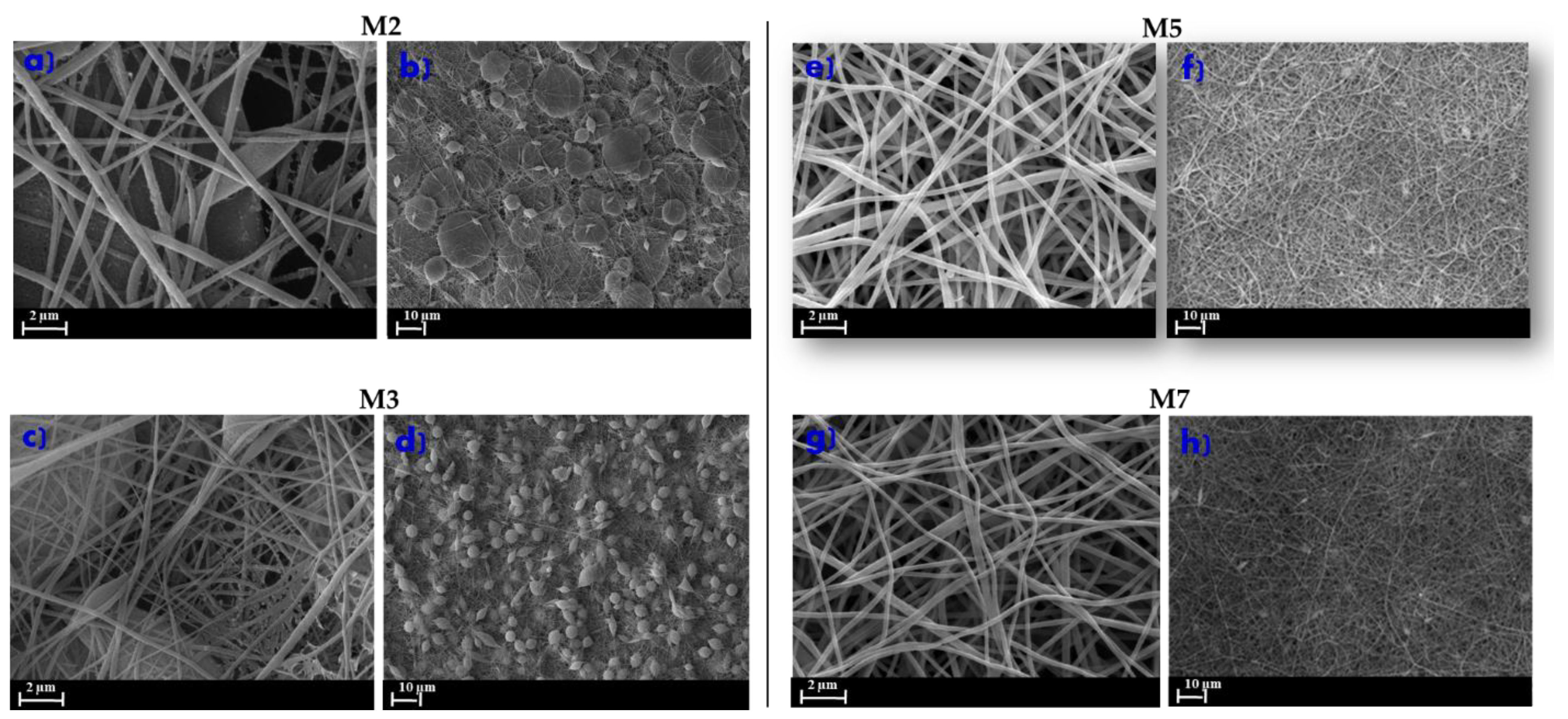 Membranes Free Full Text Innovative Poly Vinylidene Fluoride Pvdf Electrospun Nanofiber Membrane Preparation Using Dmso As A Low Toxicity Solvent Html Membranes Free Full Text Innovative Poly Vinylidene Fluoride Pvdf Electrospun Nanofiber Membrane Preparation Using Dmso As A Low Toxicity Solvent Html