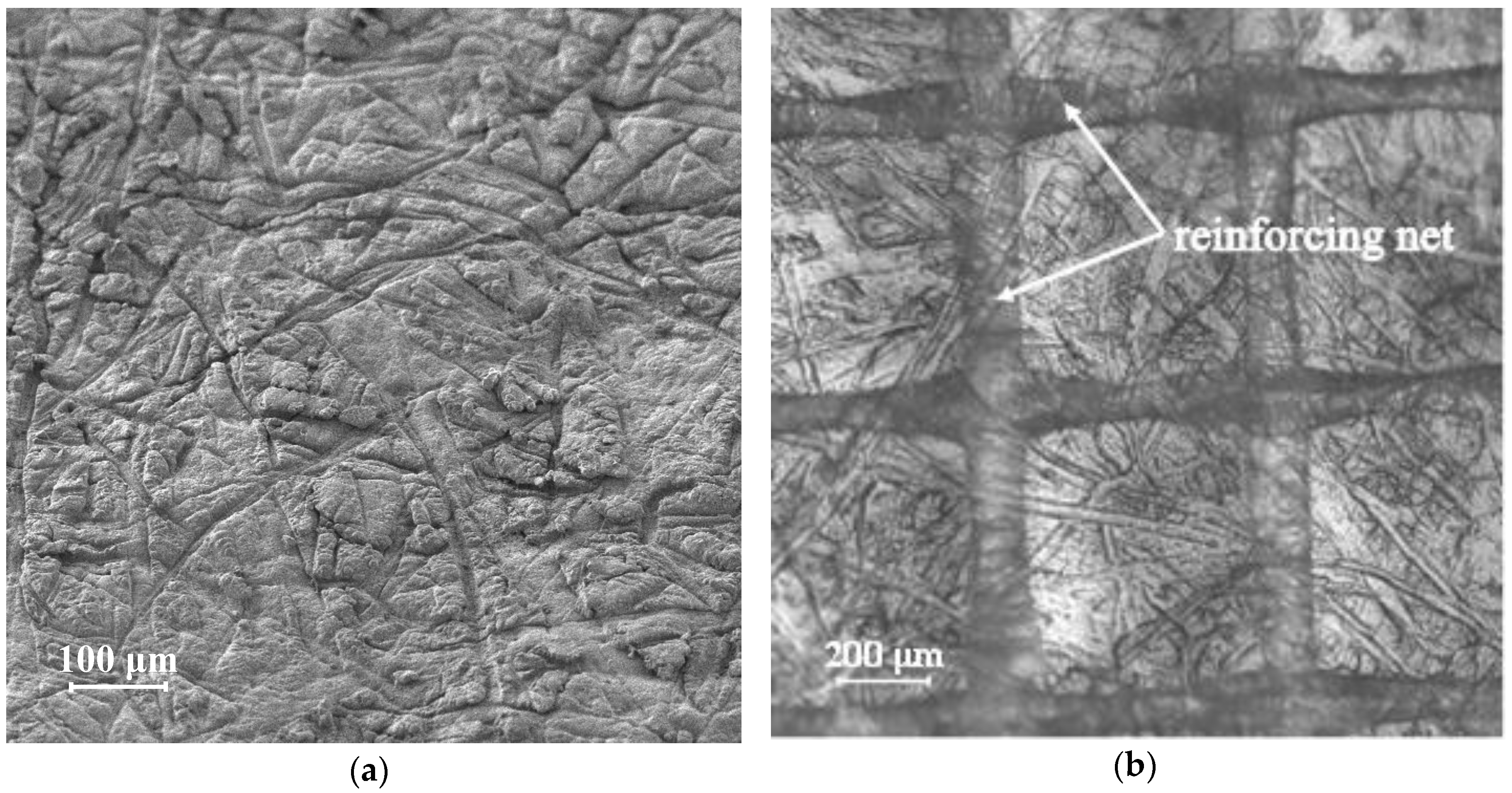 Membranes 10 00040 g001 Membranes 10 00040 g001