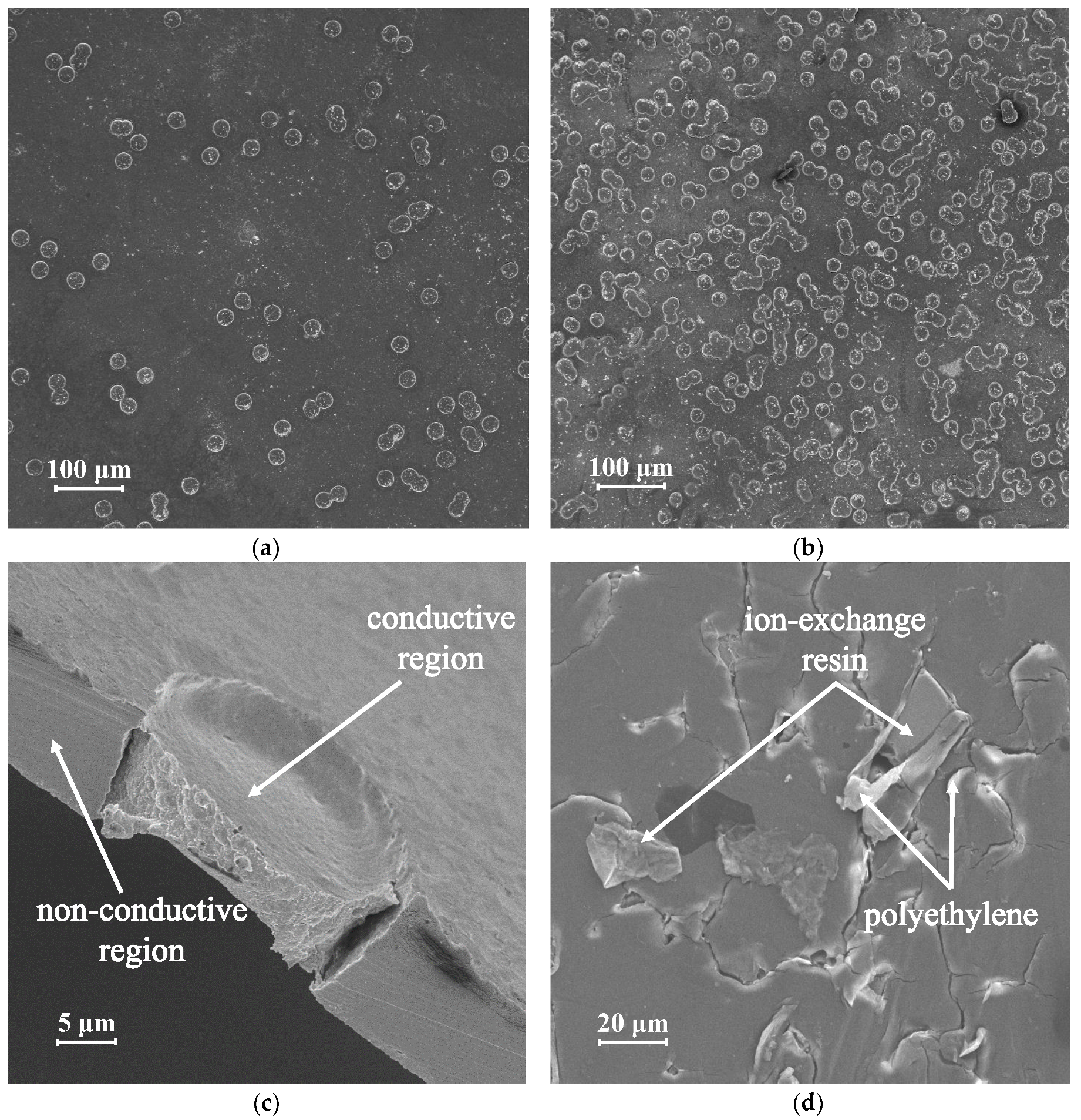 Membranes 10 00040 g003 Membranes 10 00040 g003