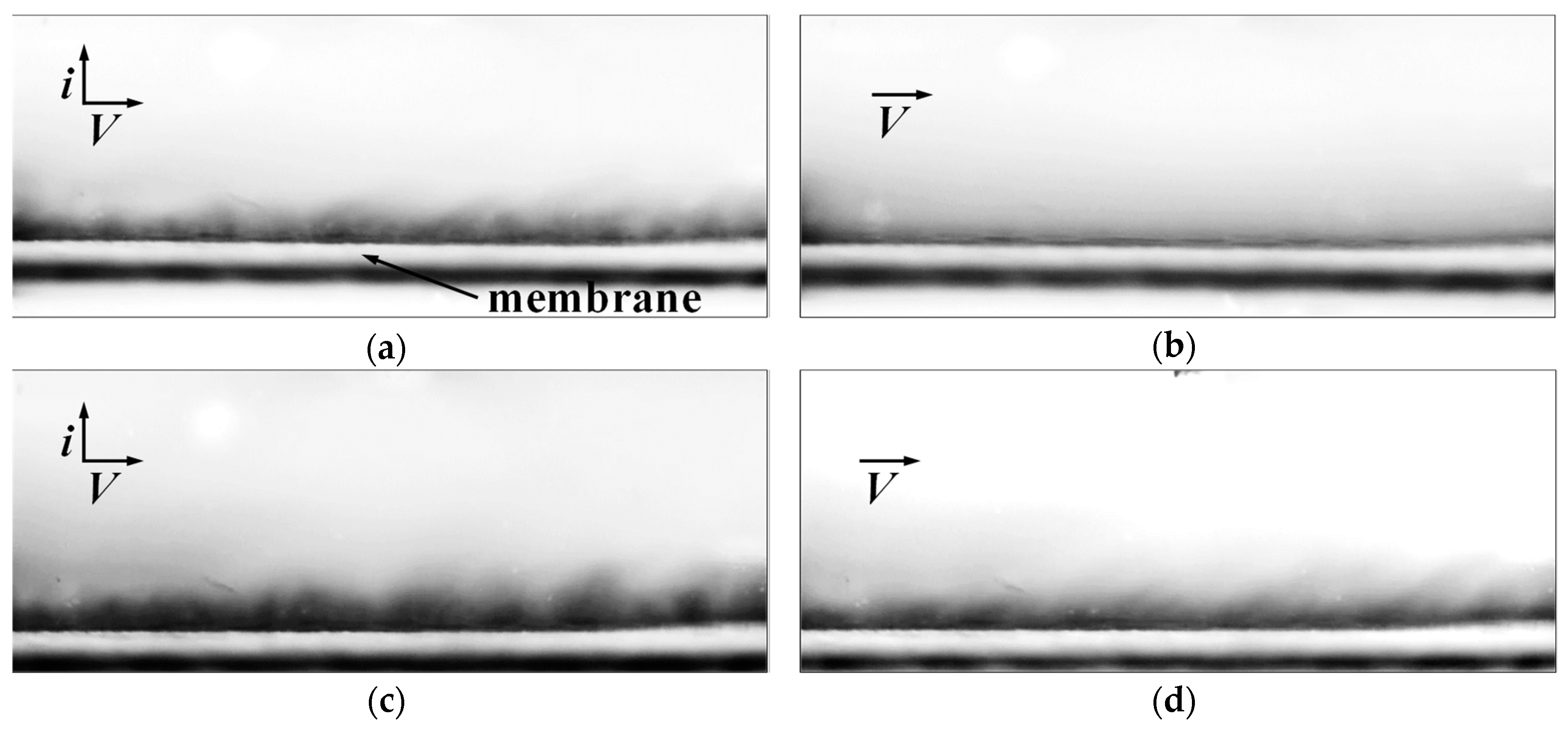 Membranes 10 00040 g009 Membranes 10 00040 g009