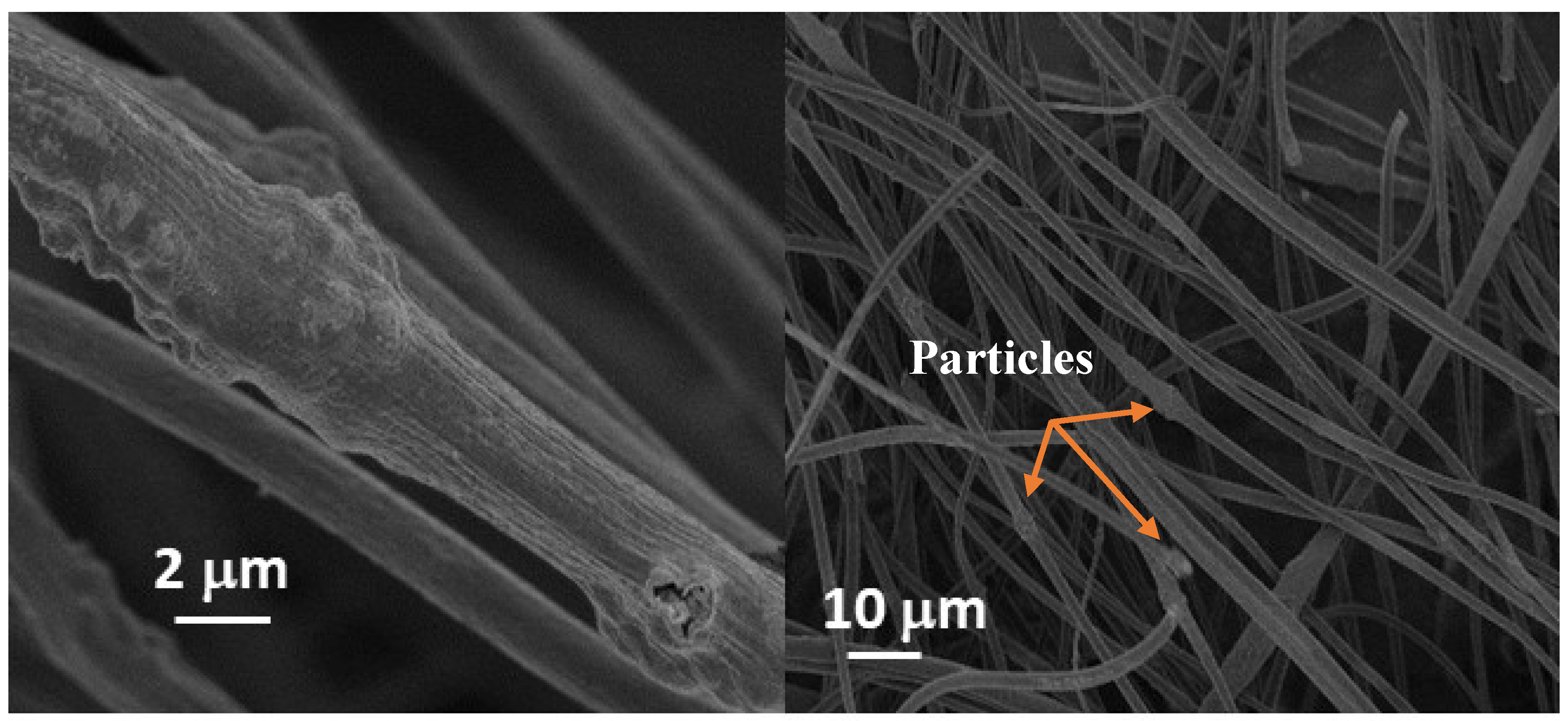 Membranes 10 00045 g001