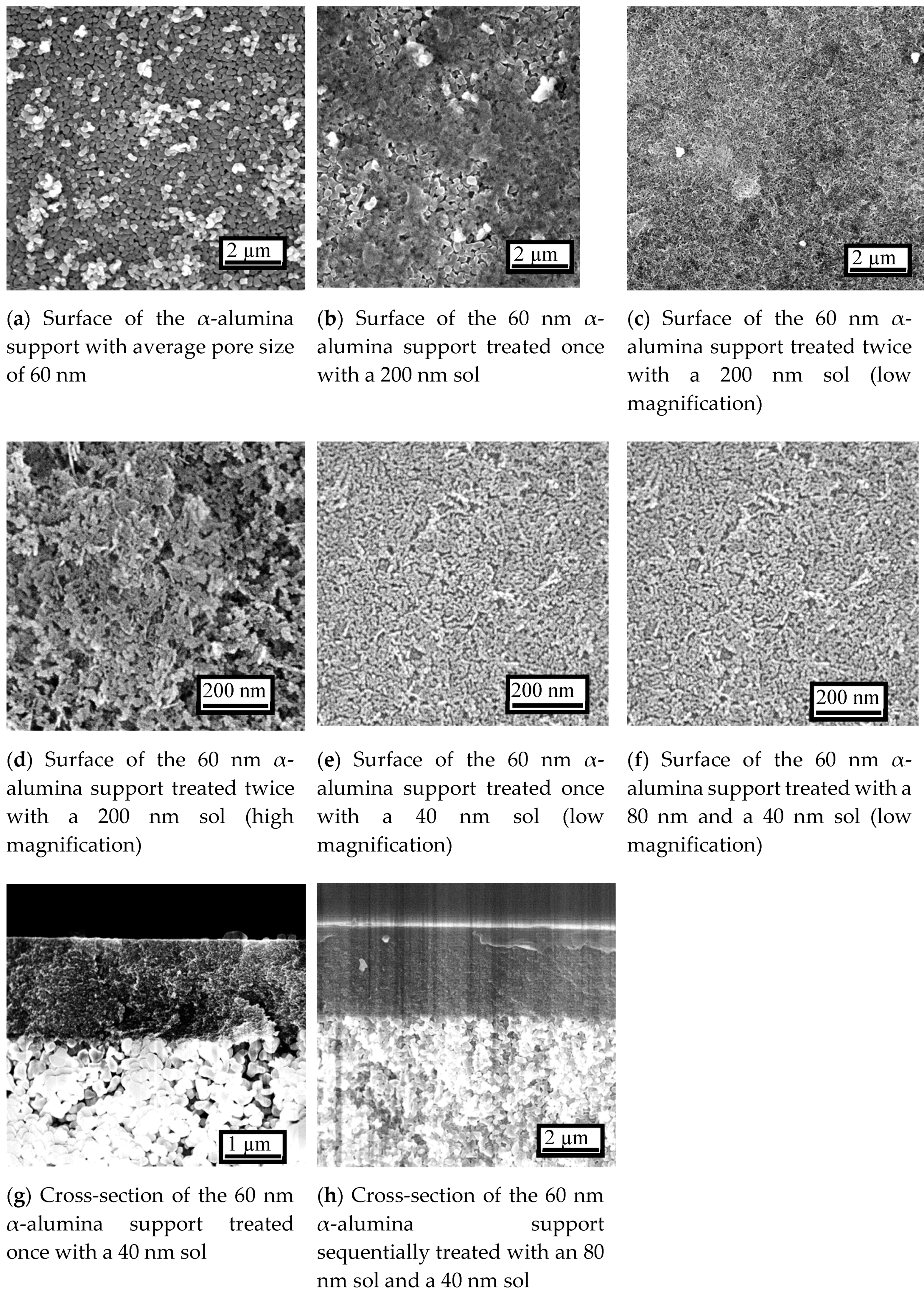 Membranes 10 00050 g004 Membranes 10 00050 g004