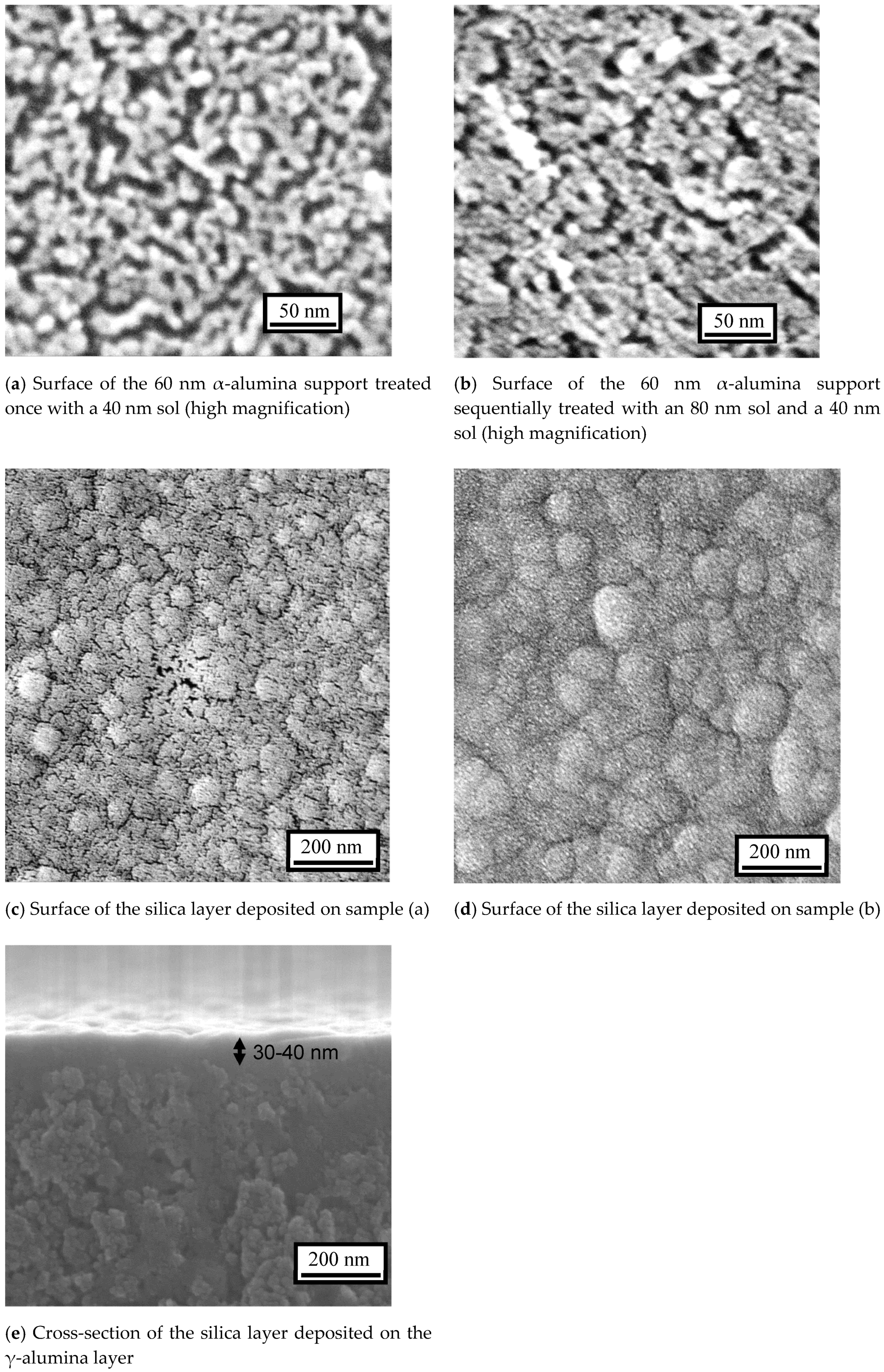 Membranes 10 00050 g005 Membranes 10 00050 g005